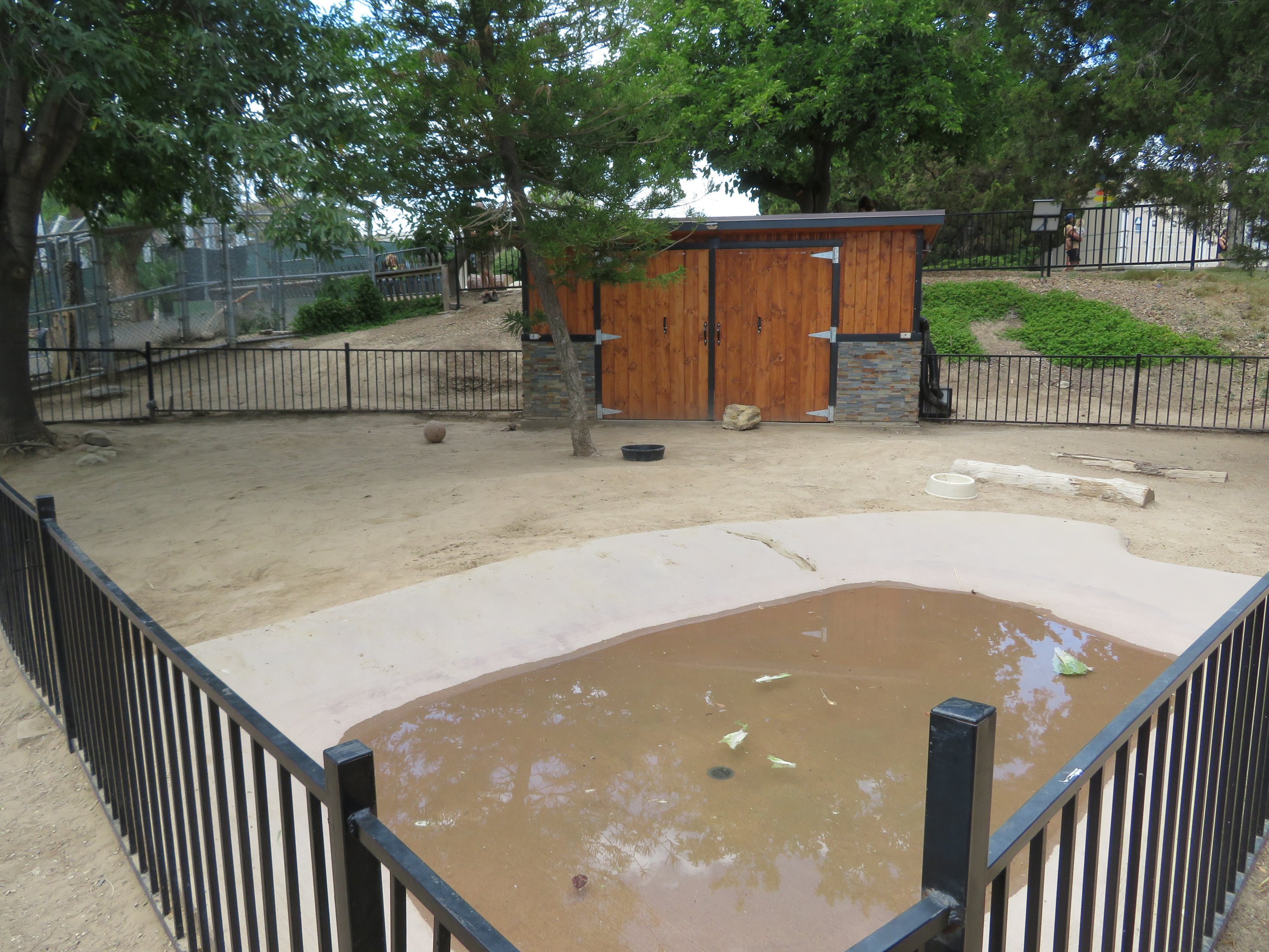 Galapagos Tortoise Exhibit