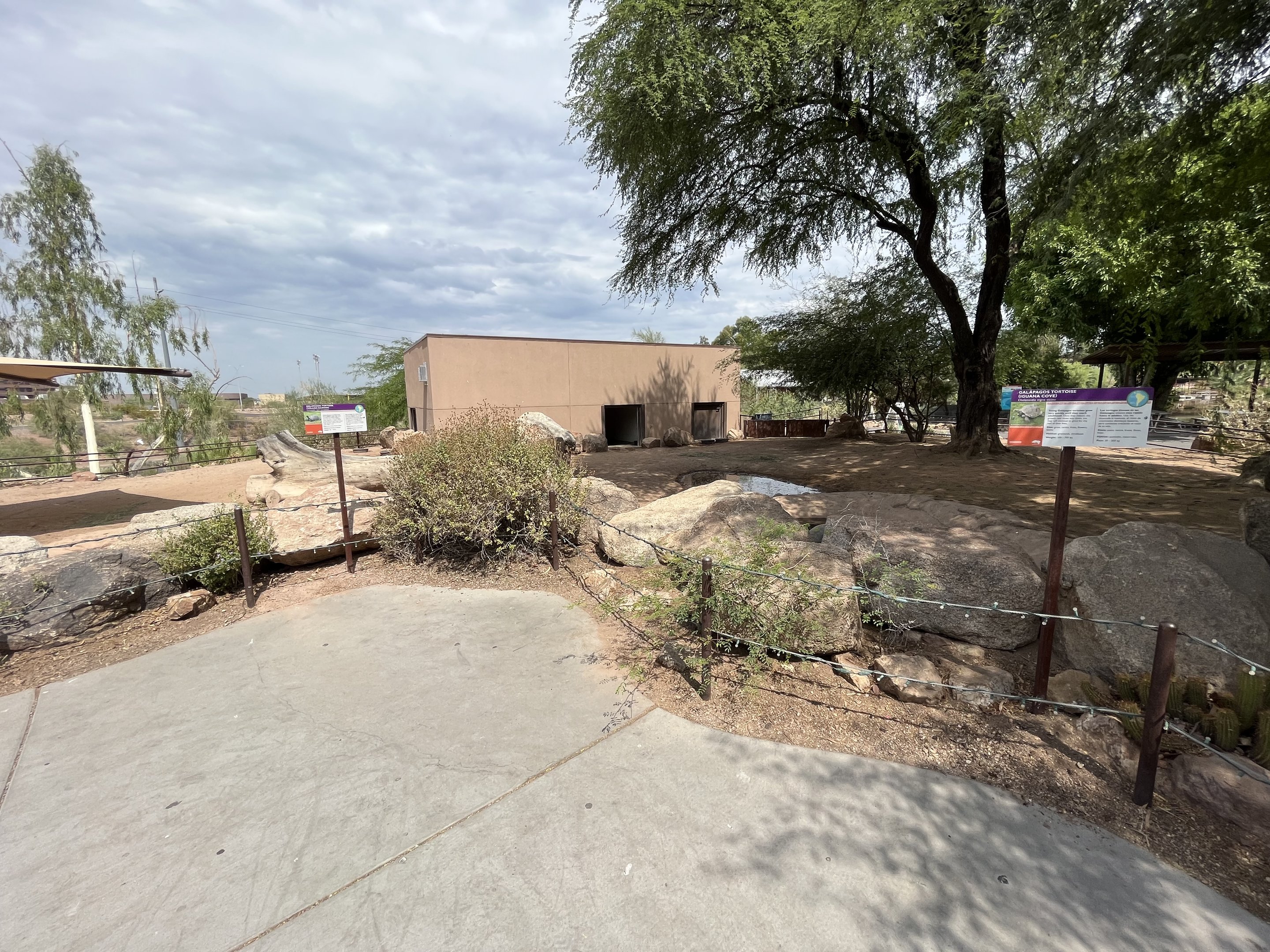 Galapagos Tortoise Exhibit