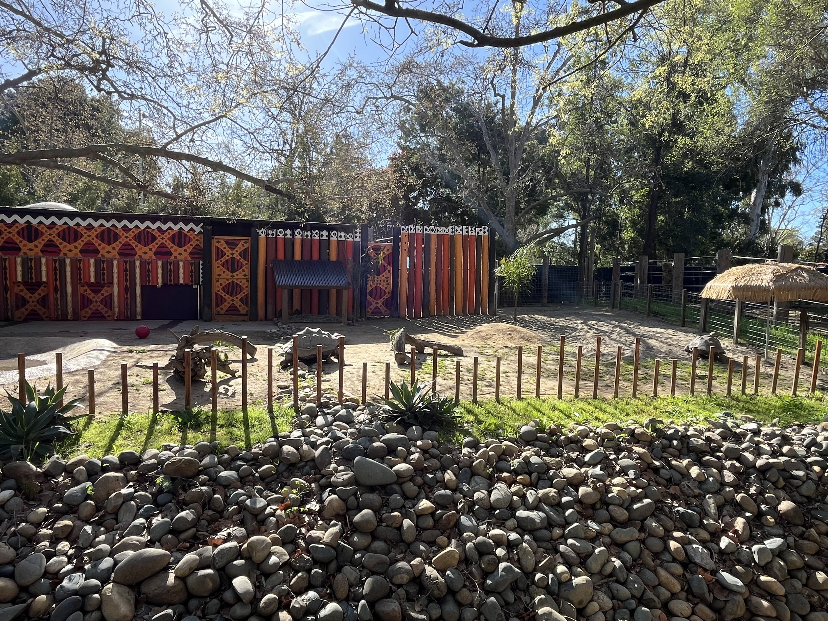 Galapagos Tortoise Exhibit