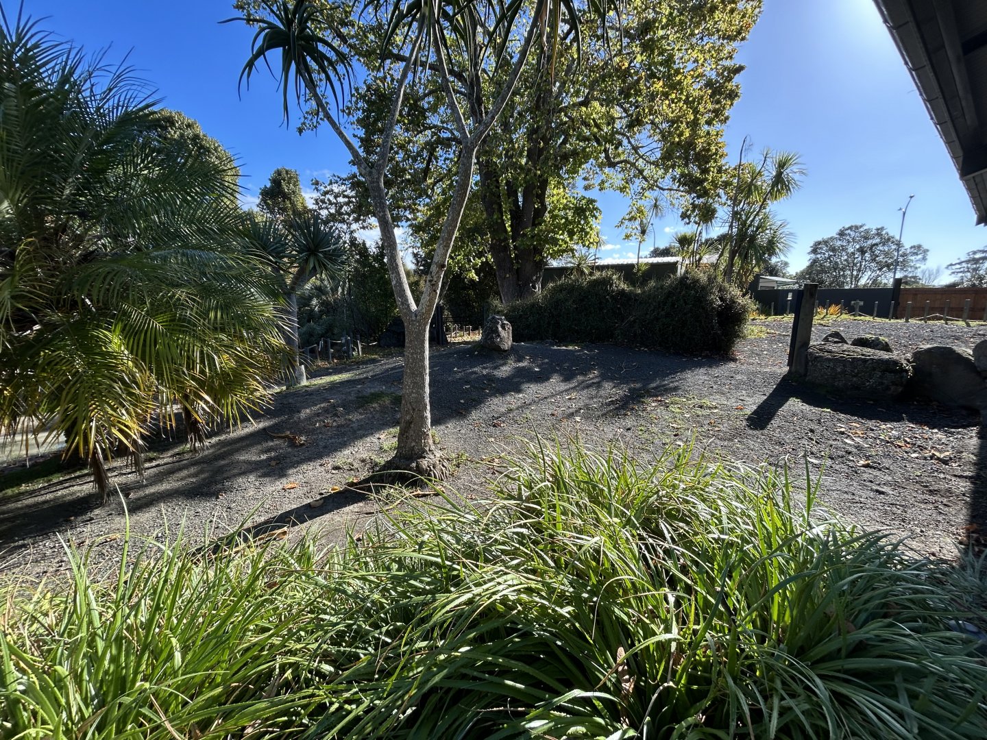 Galapagos Tortoise Exhibit
