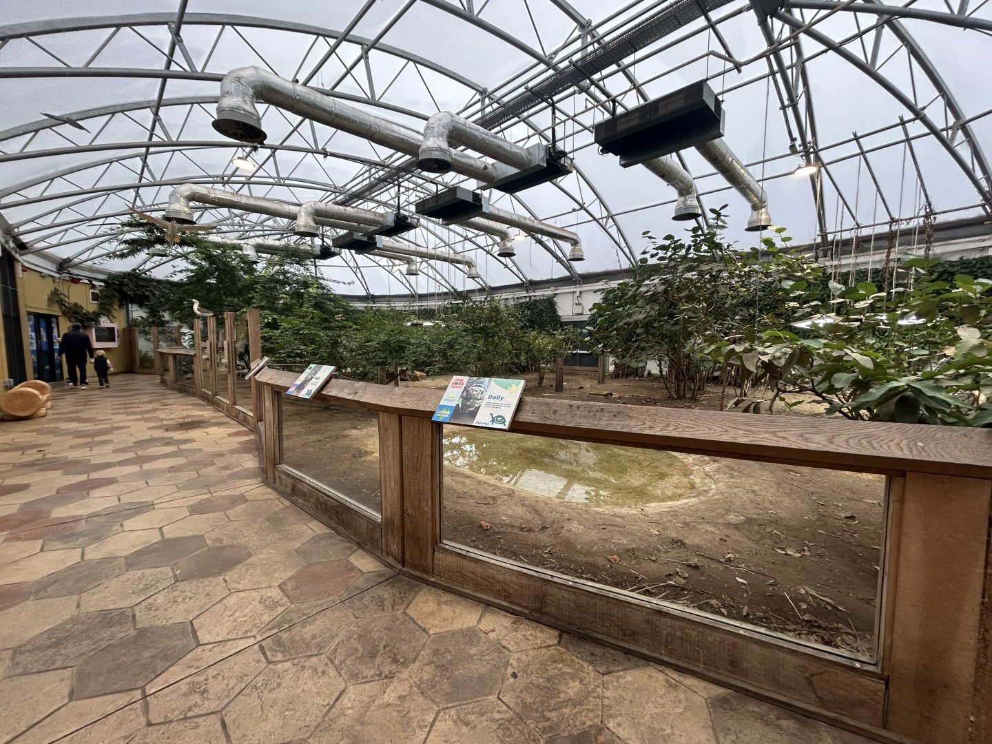 Galapagos Tortoise Exhibit
