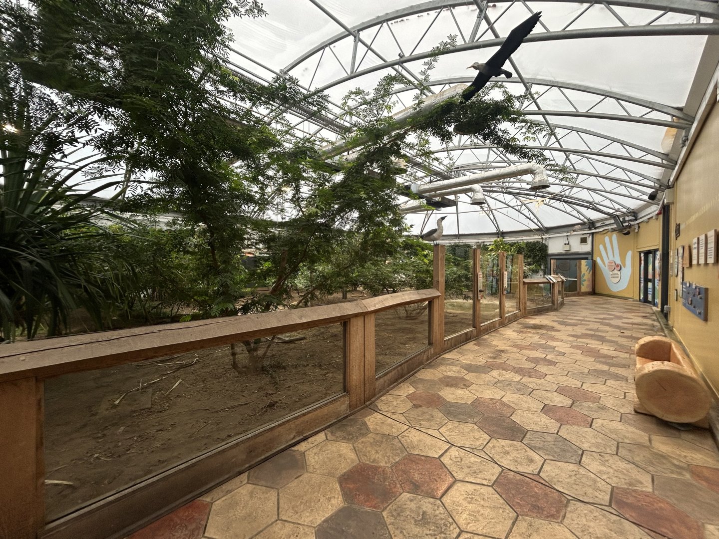 Galapagos Tortoise Exhibit