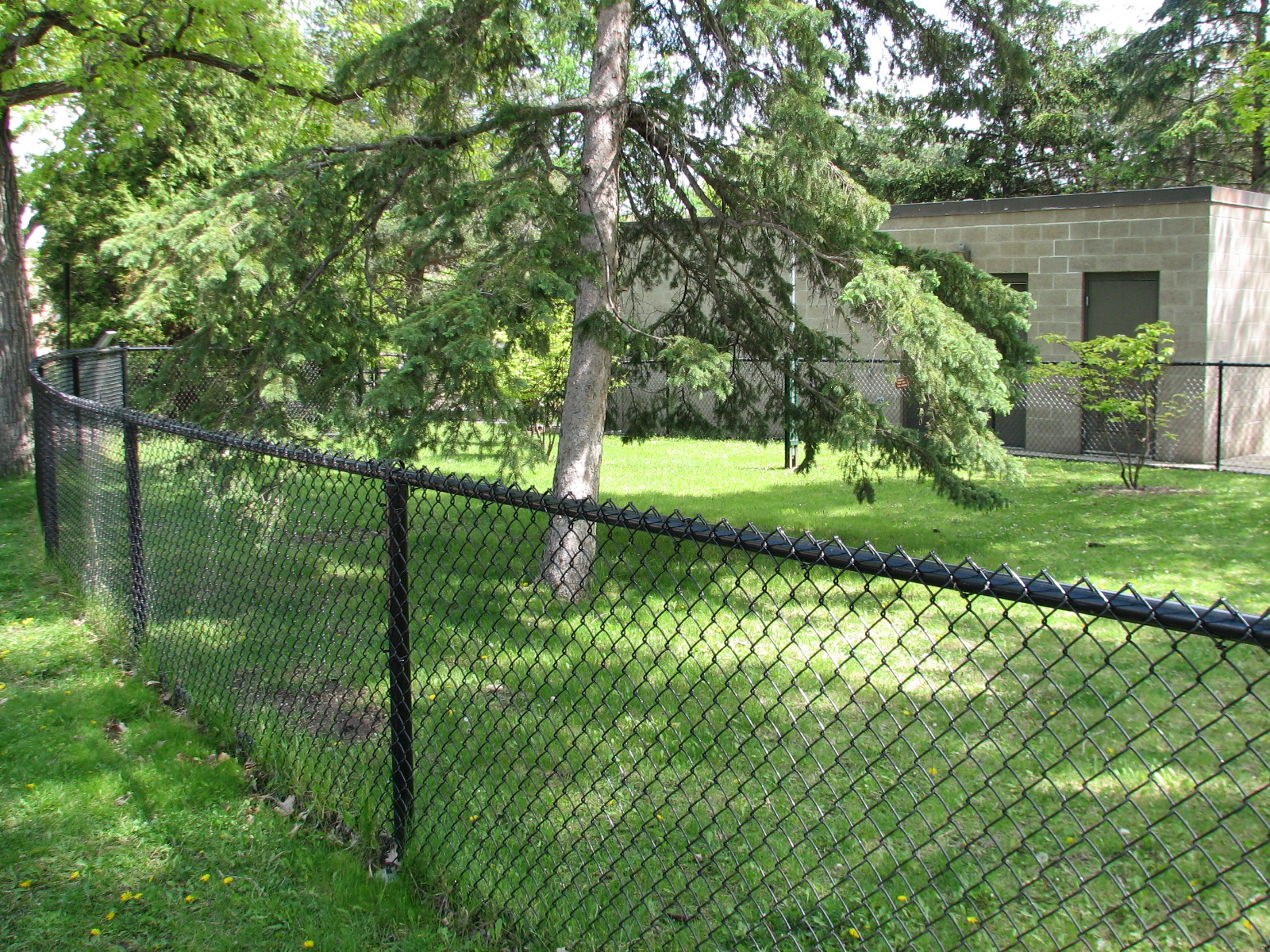 Galapagos Tortoise Exhibit