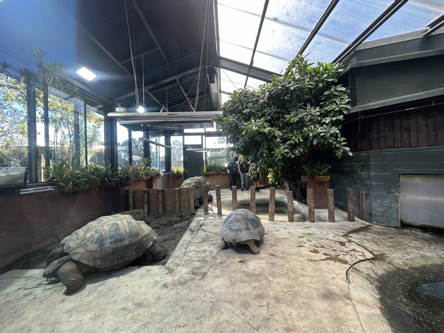 Galapagos Tortoise Greenhouse