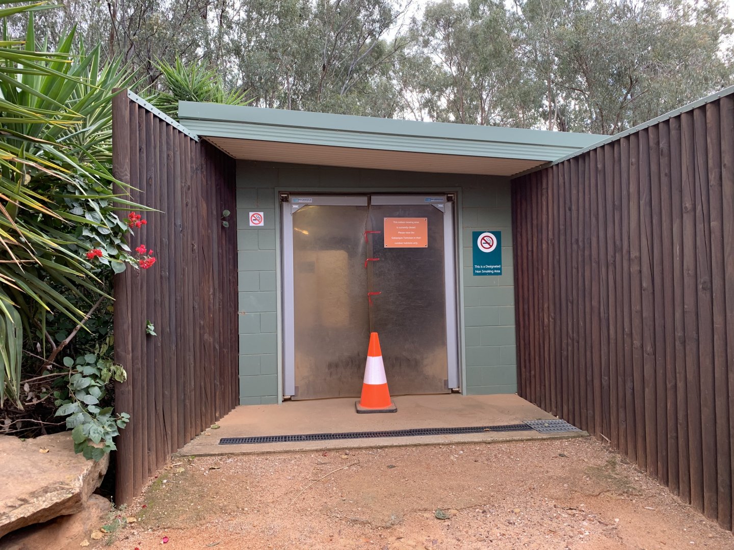 Galapagos Tortoise Indoor Viewing Closed