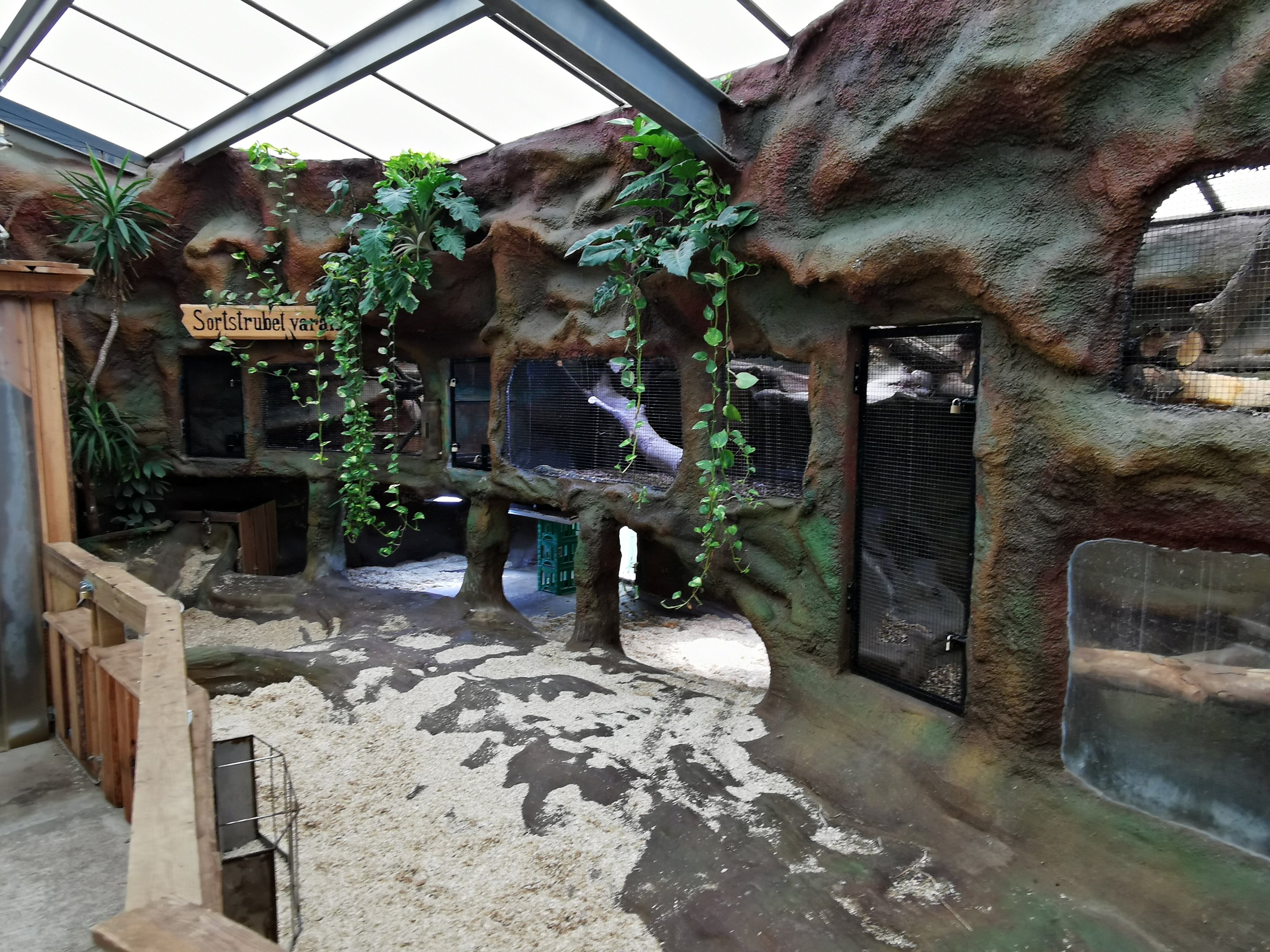 Galapagos tortoise indoors and monitor exhibit - Masaguaral hall