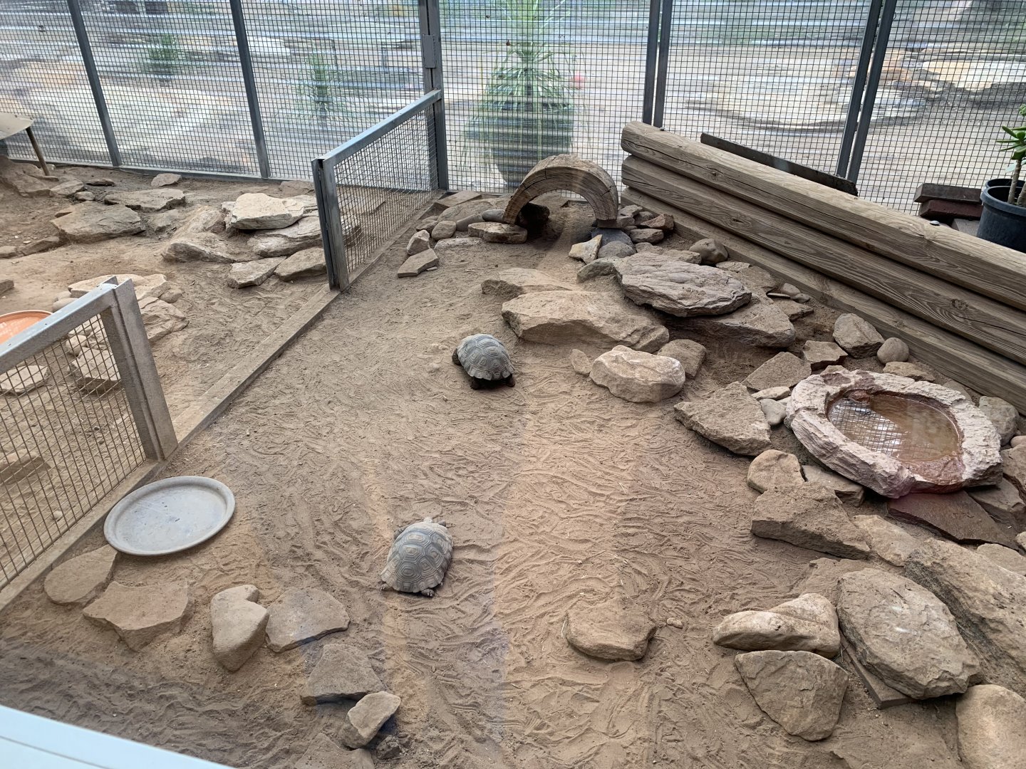 Galapagos Tortoise Nursery