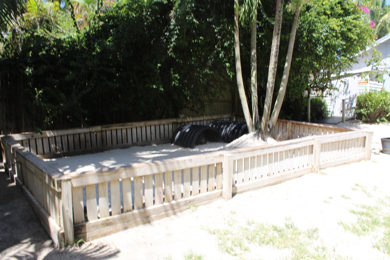 Galapagos Tortoise Pen - Mccarthy Wildlife Sanctuary
