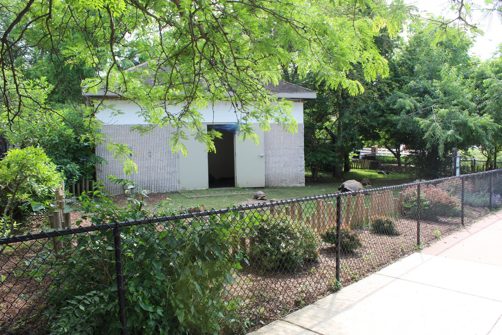 Galapagos Tortoise & Radiated Tortoise Exhibit