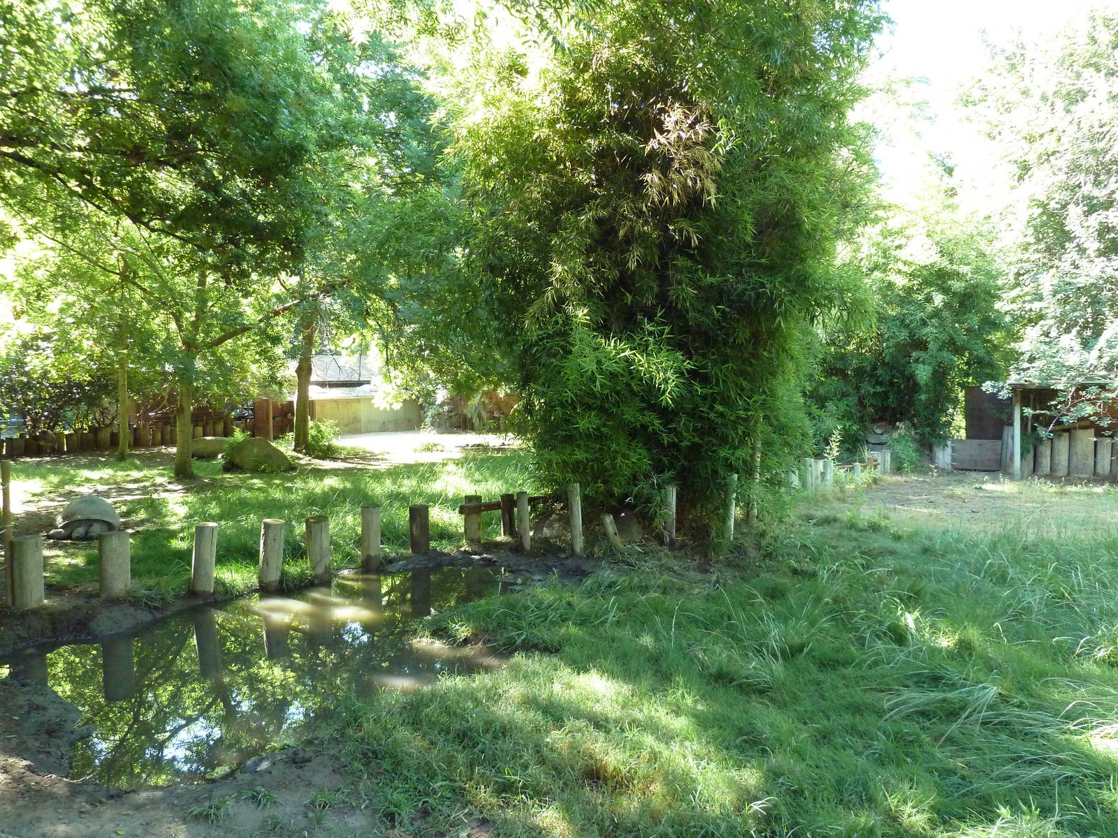 Galapagos Tortoise/Rhea Exhibit