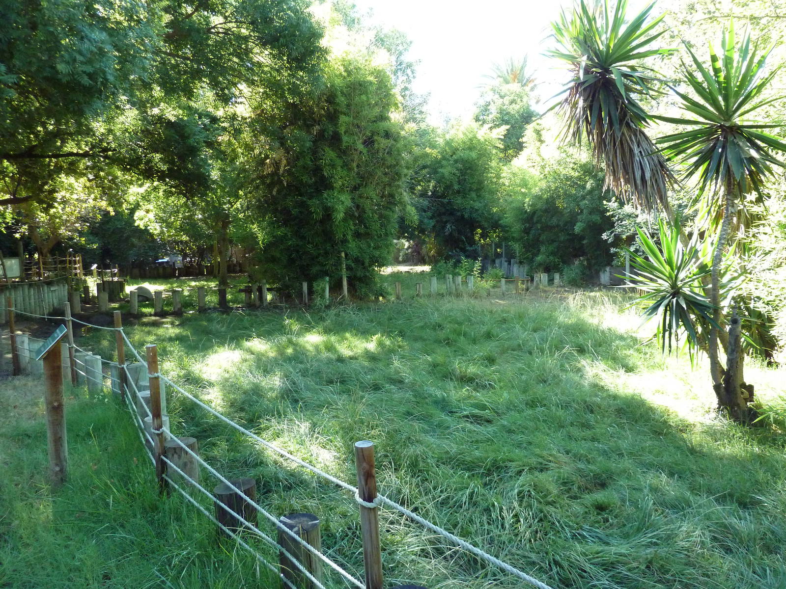 Galapagos Tortoise/Rhea Exhibit