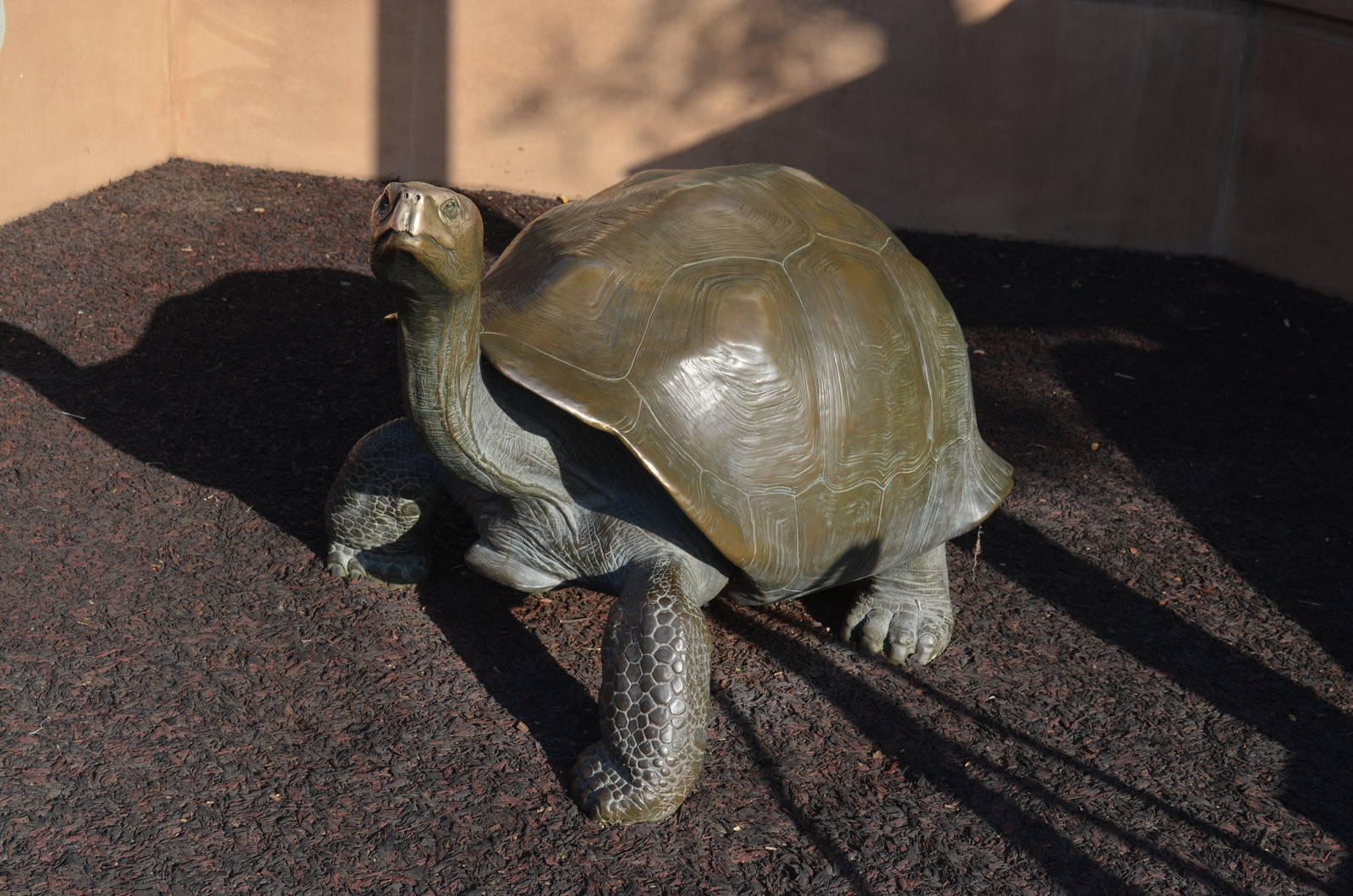 Galapagos Tortoise Sculpture