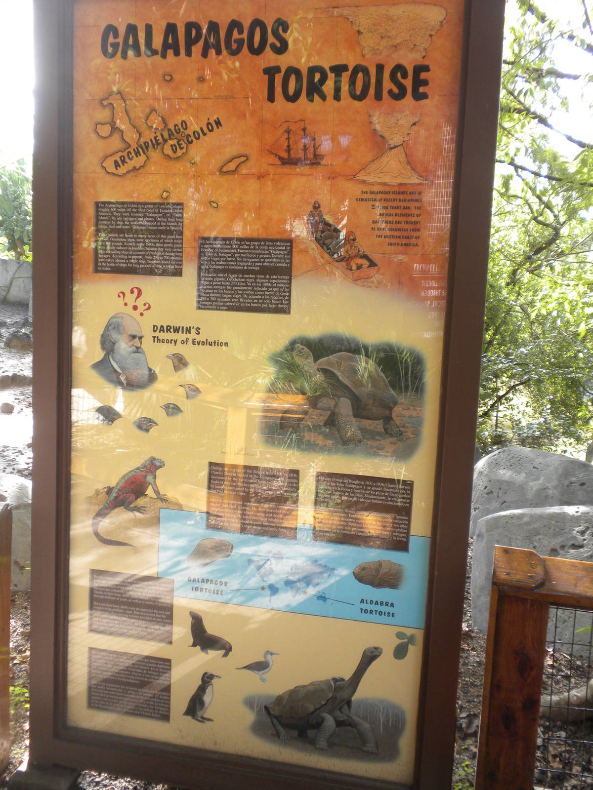 Galapagos Tortoise sign