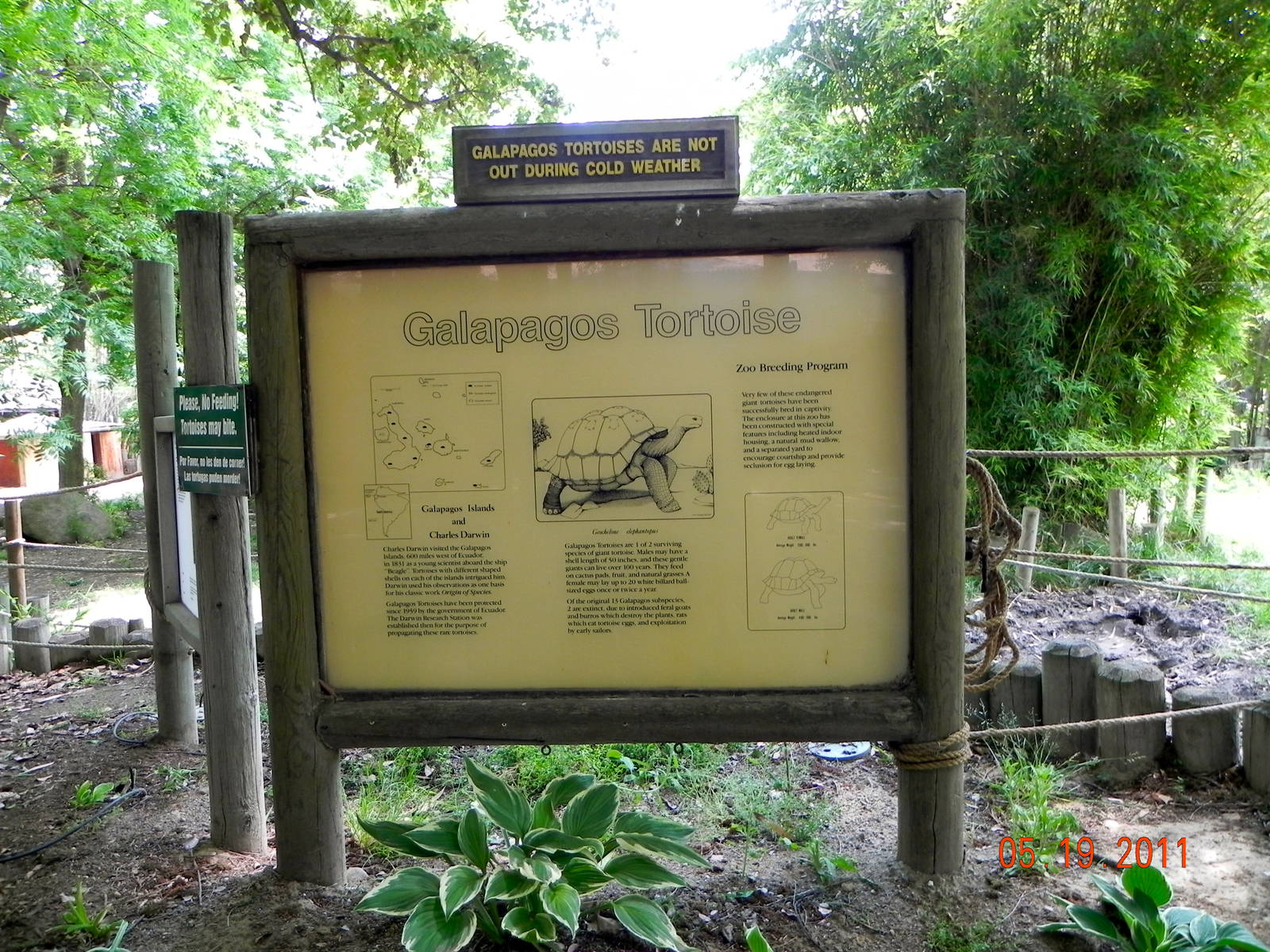 Galapagos tortoise sign