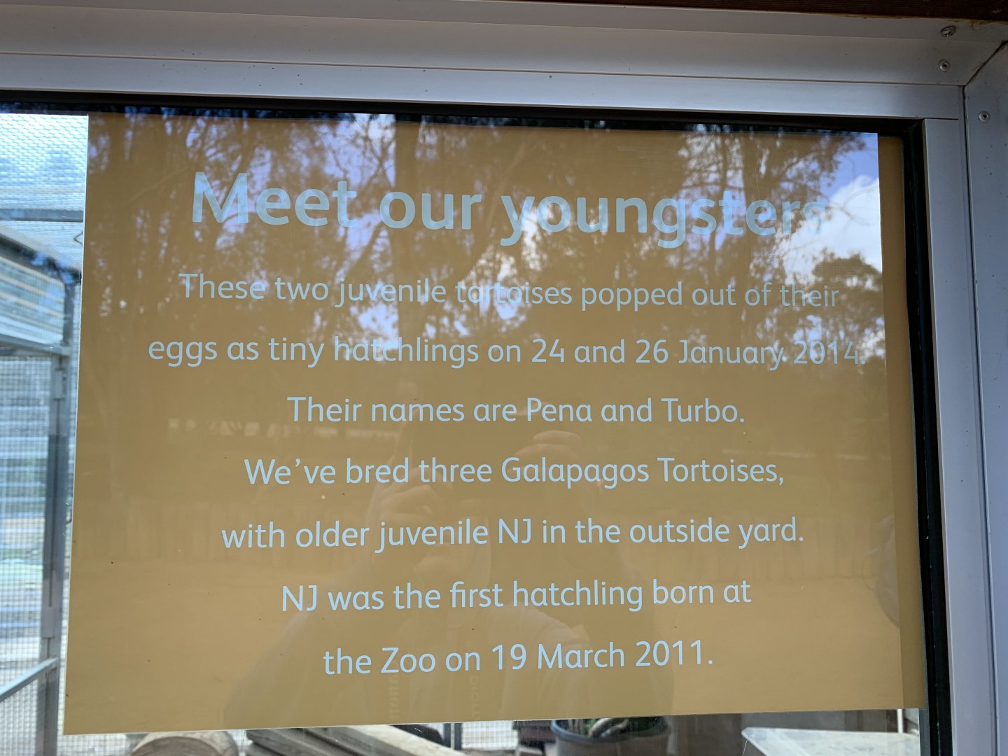 Galapagos Tortoise Sign