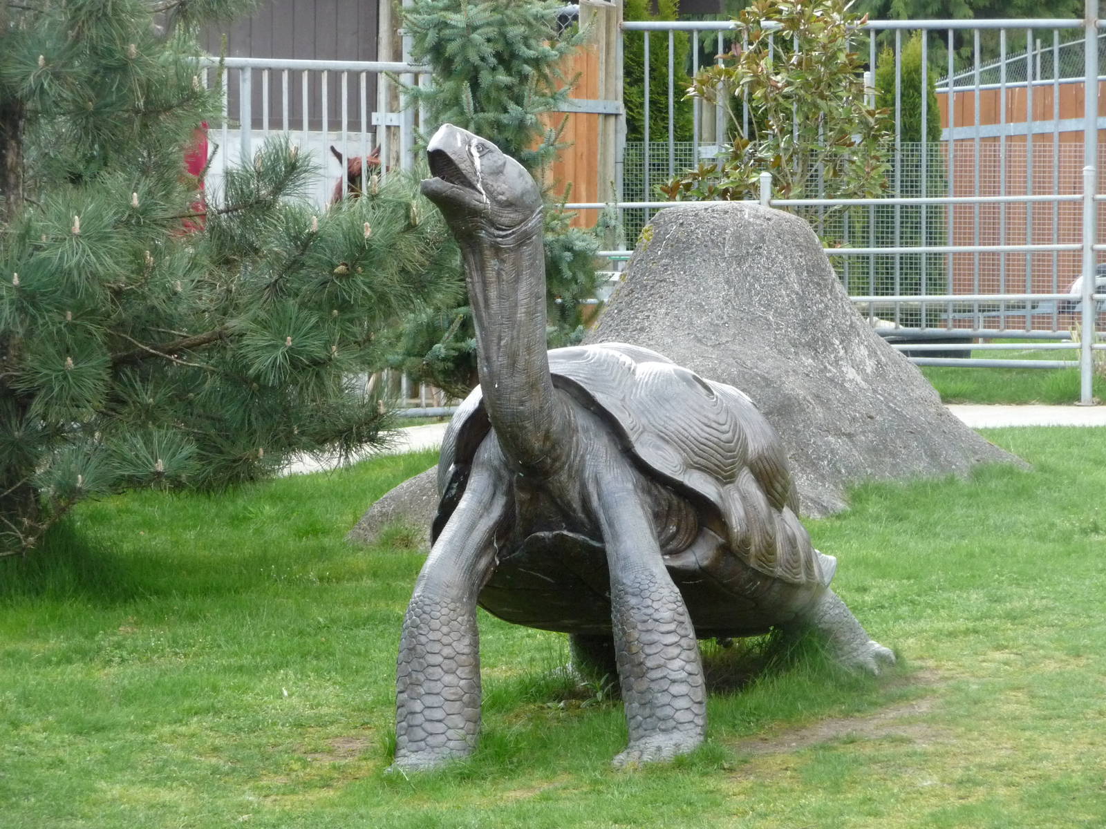 Galapagos Tortoise Statue
