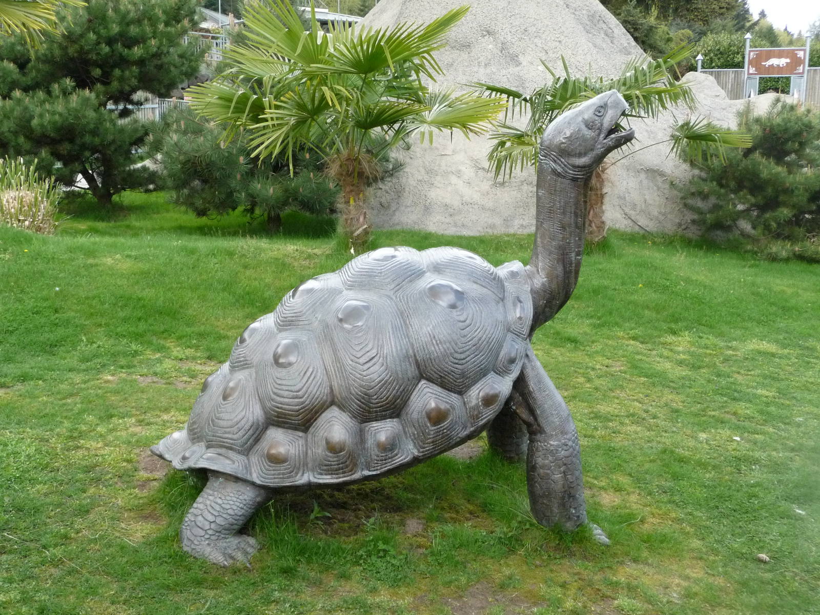 Galapagos Tortoise Statue