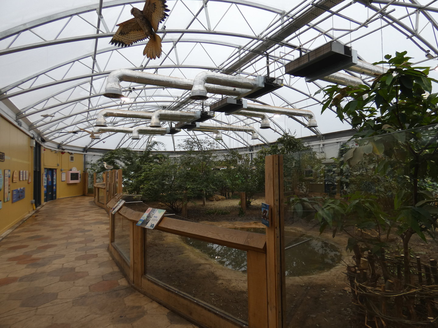 Galapogas giant tortoise house