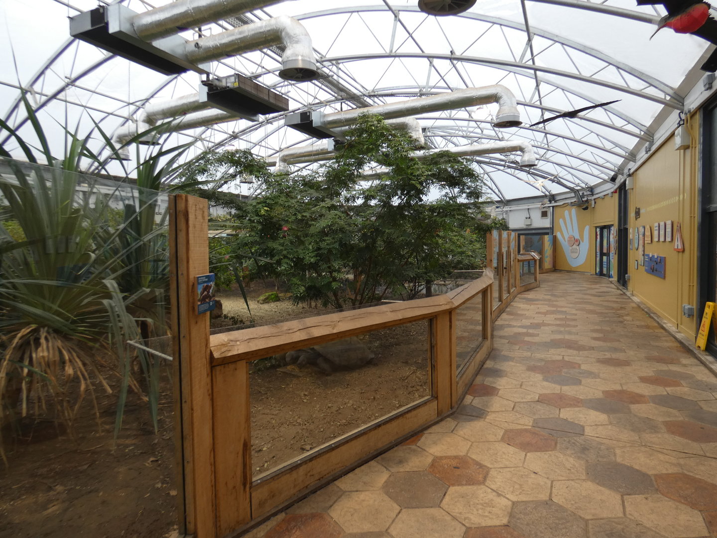 Galapogas giant tortoise house