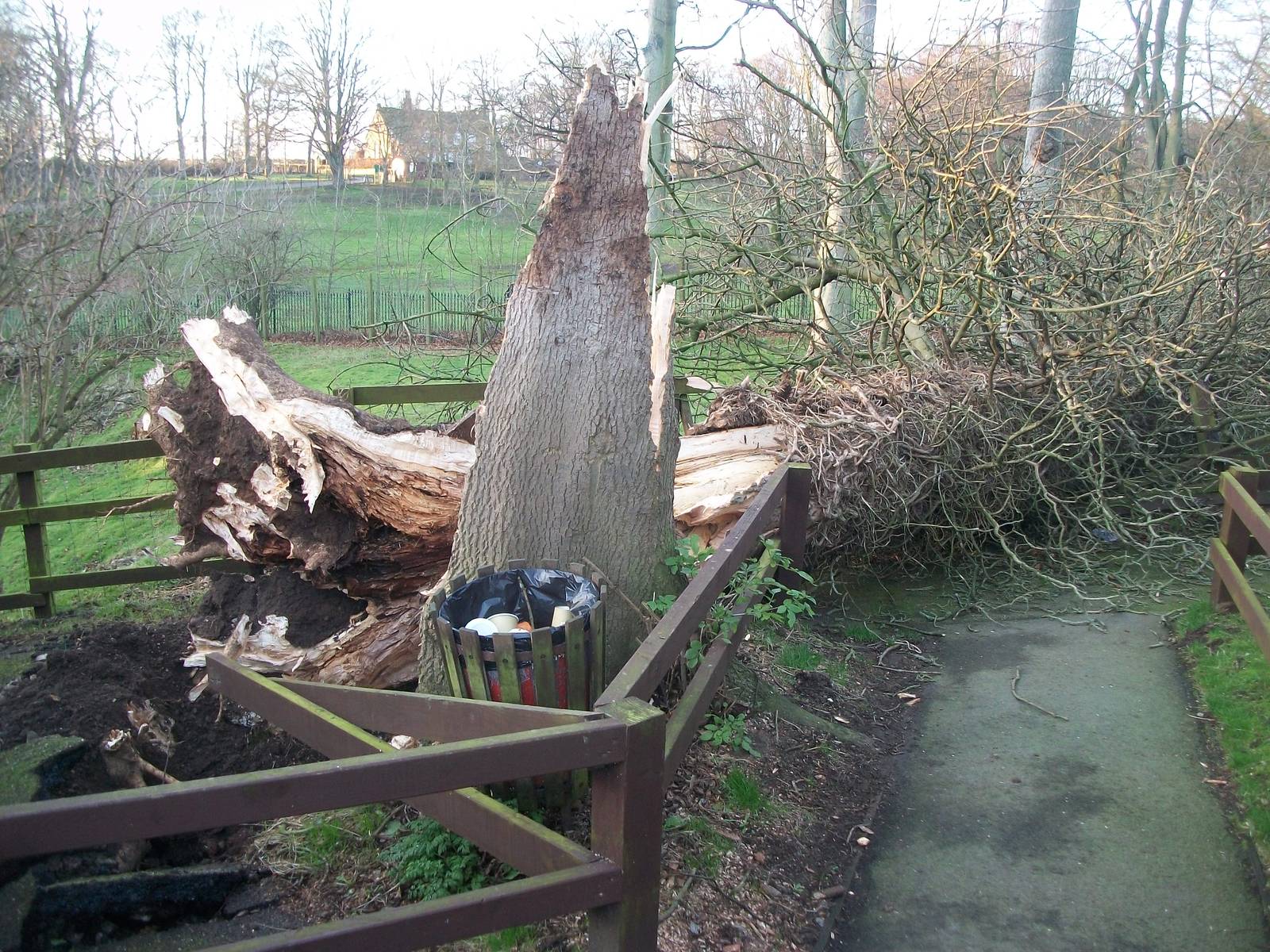 Gales damage, 28th December 2013