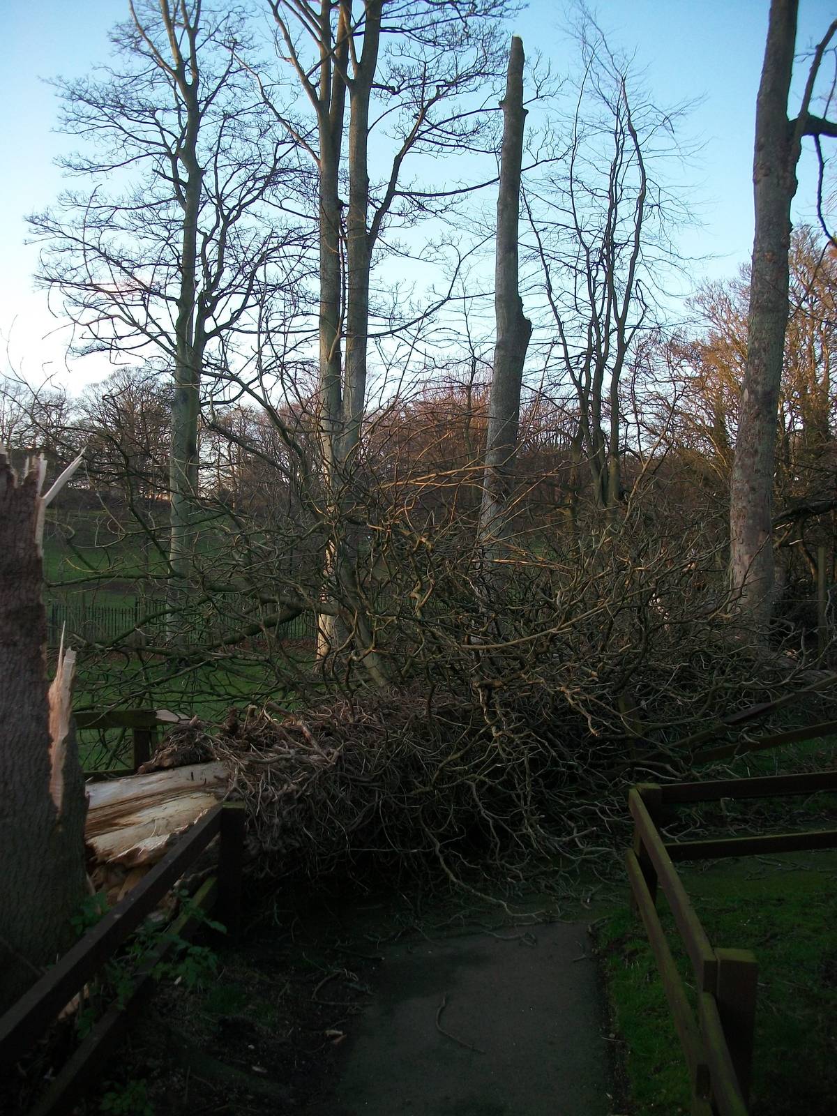 Gales damage, 28th December 2013