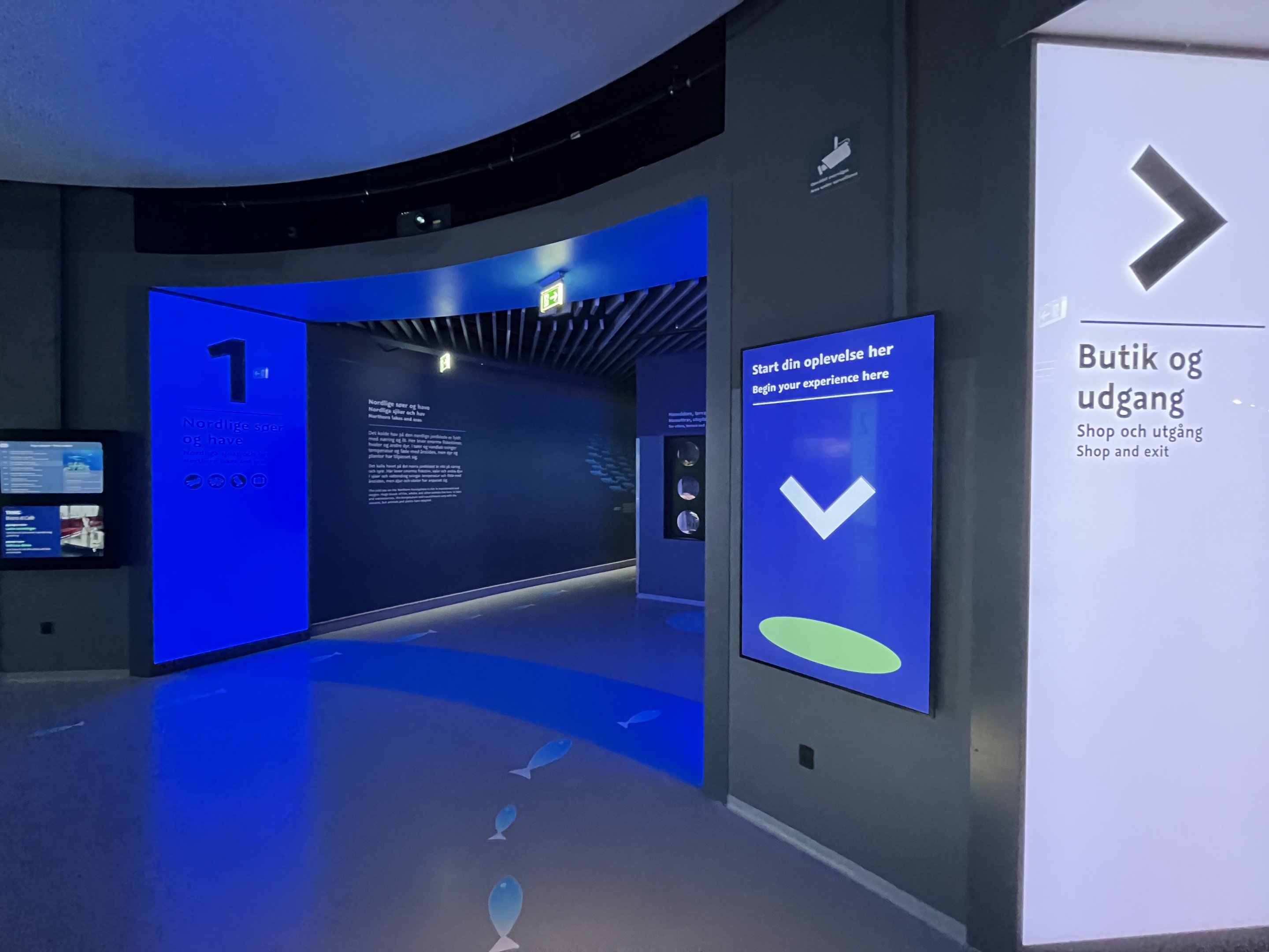 Gallery #1 (there are 3)