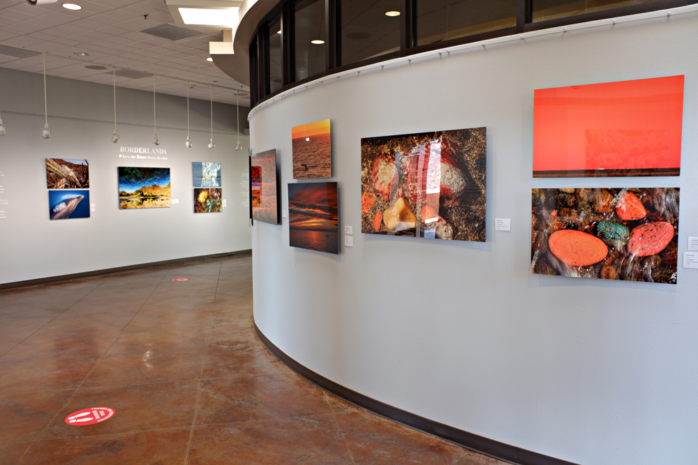 gallery in Art Institute