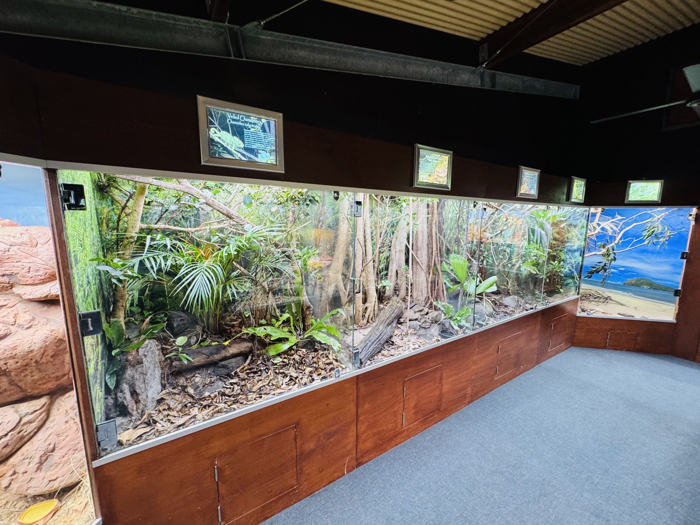 Gallery of Living Art - reptile house
