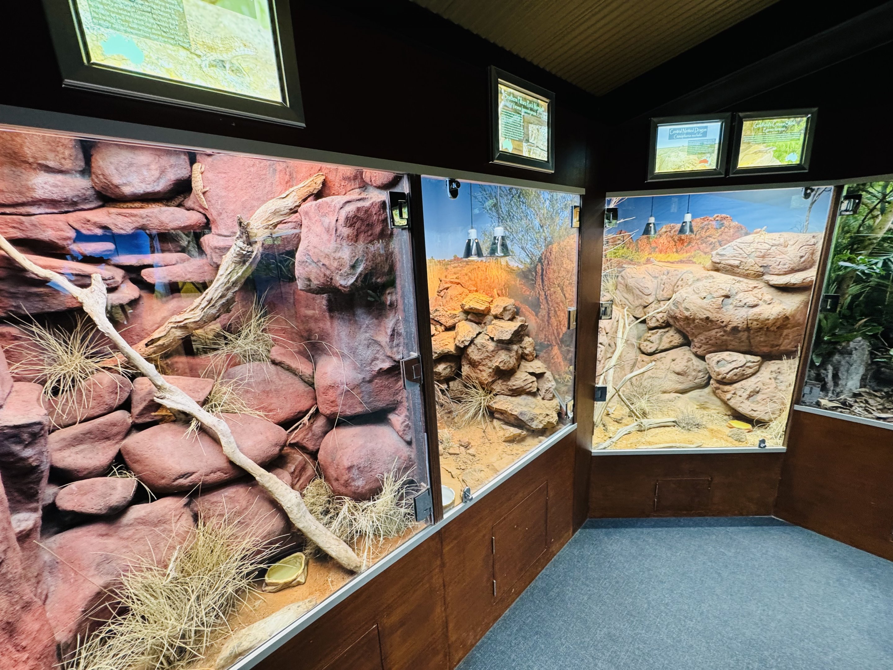 Gallery of Living Art - reptile house