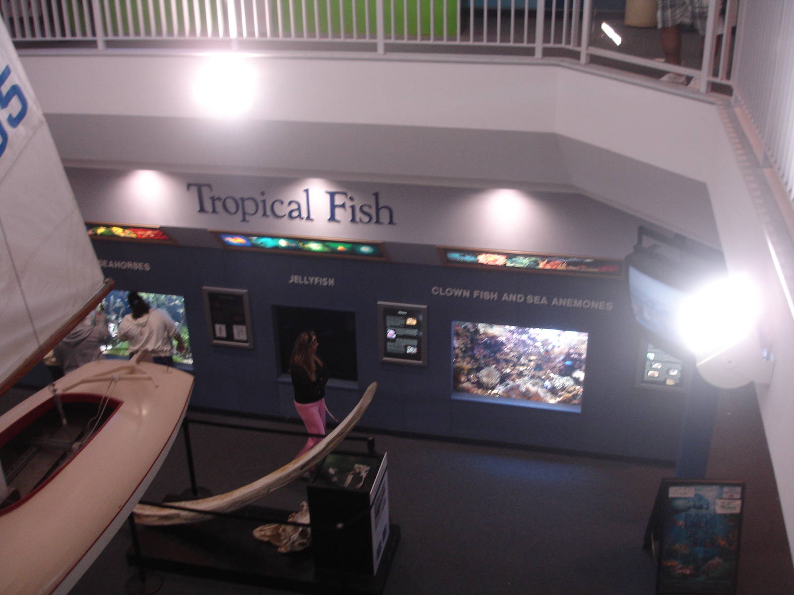 Gallery view from second floor