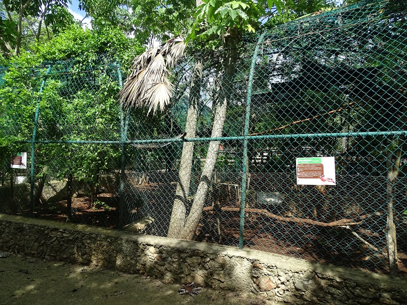 Galliform enclosures