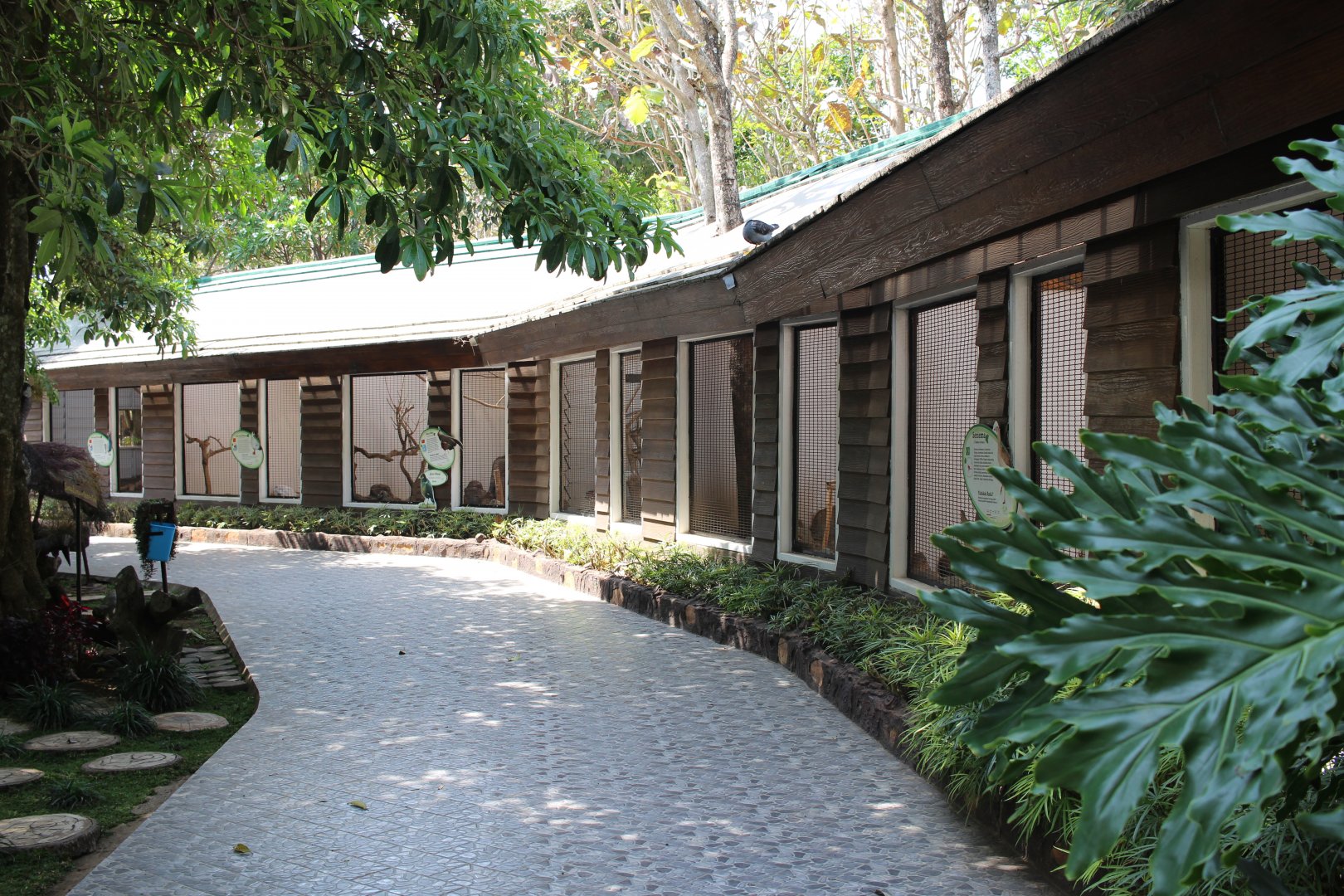 Galliformes Aviaries