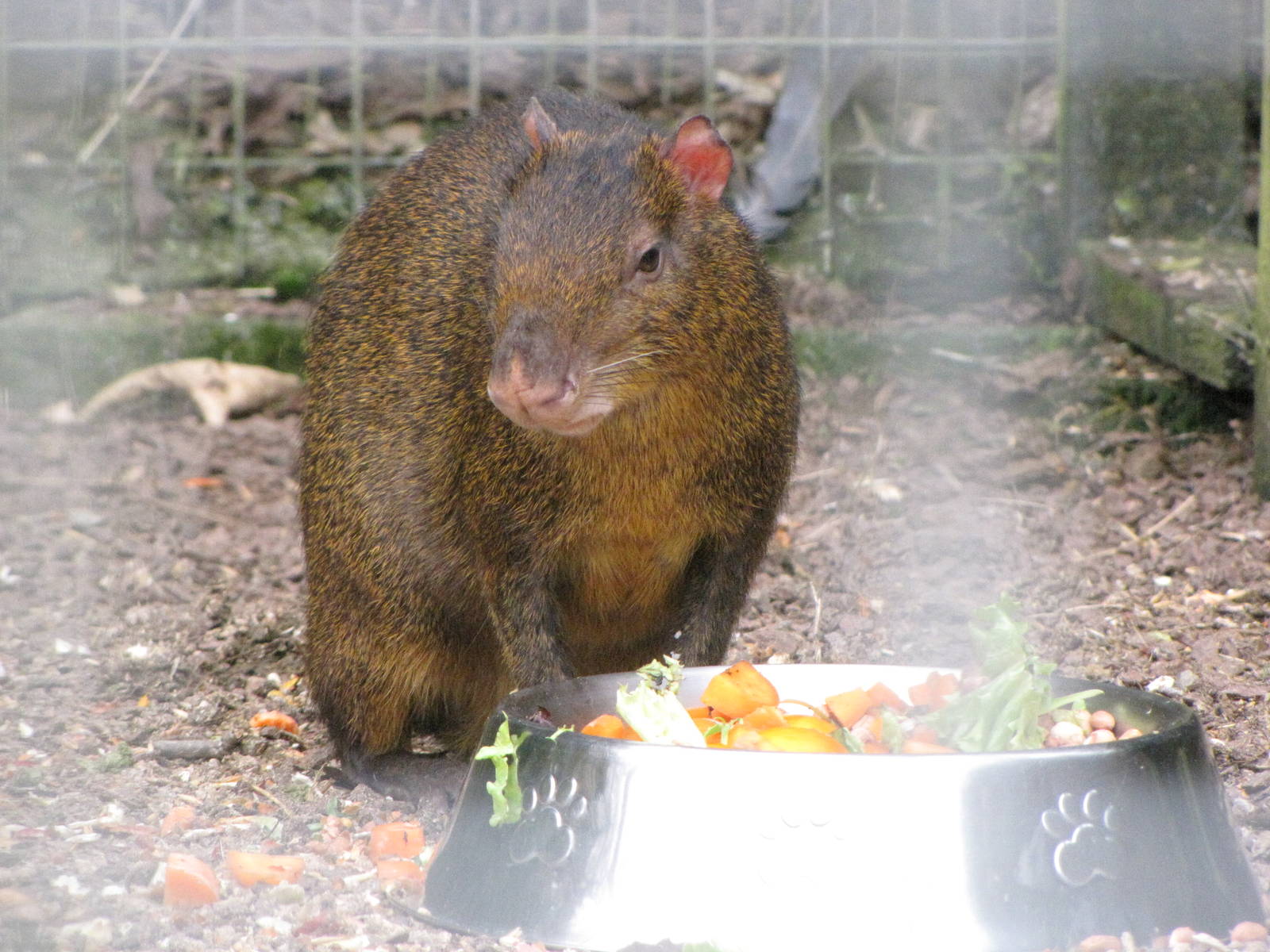 Galloway Wildlife Conservation Park