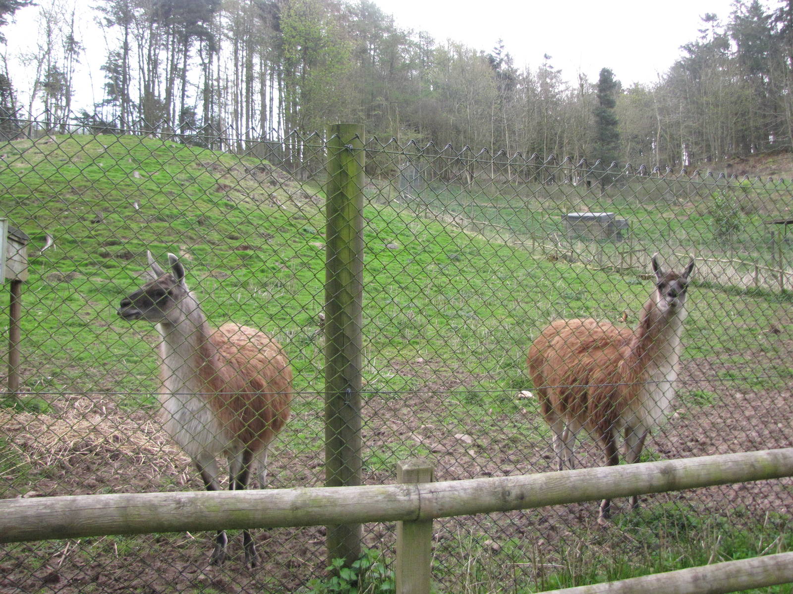 Galloway Wildlife Conservation Park