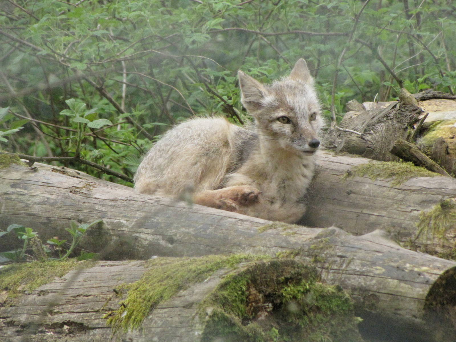 Galloway Wildlife Conservation Park