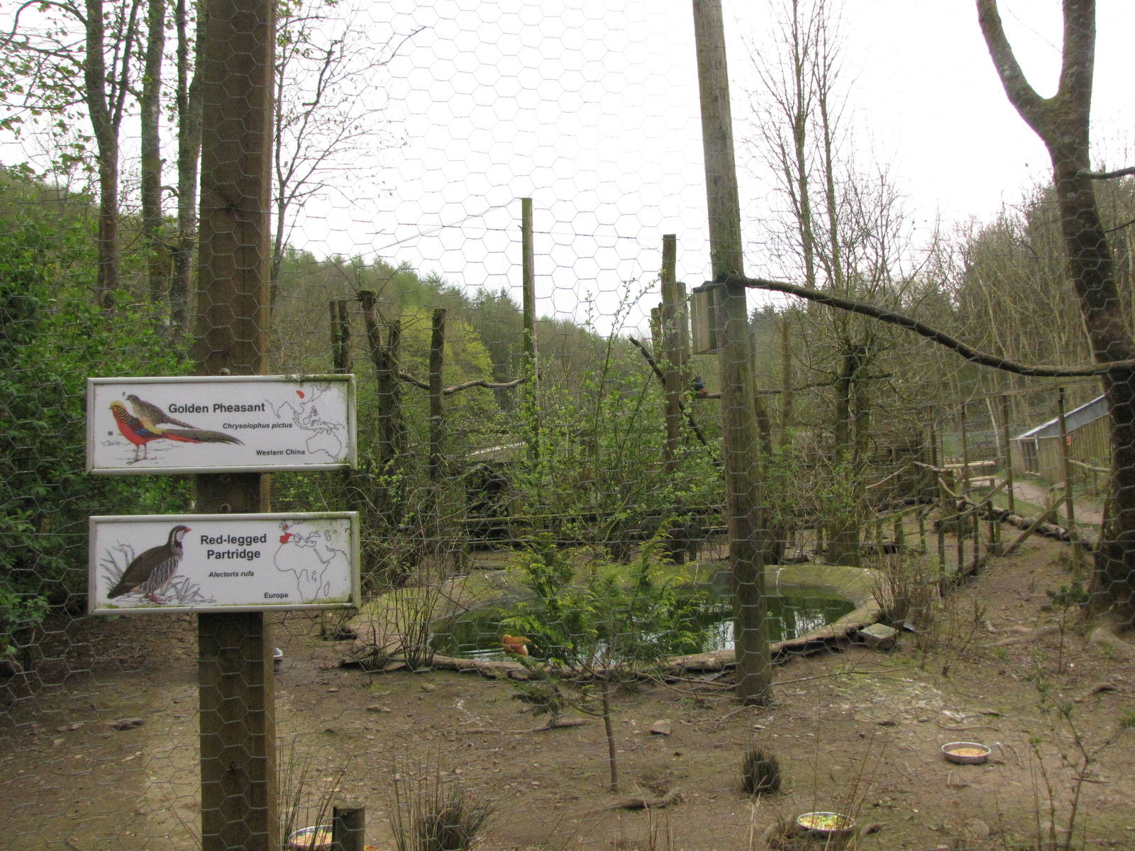Galloway Wildlife Conservation Park
