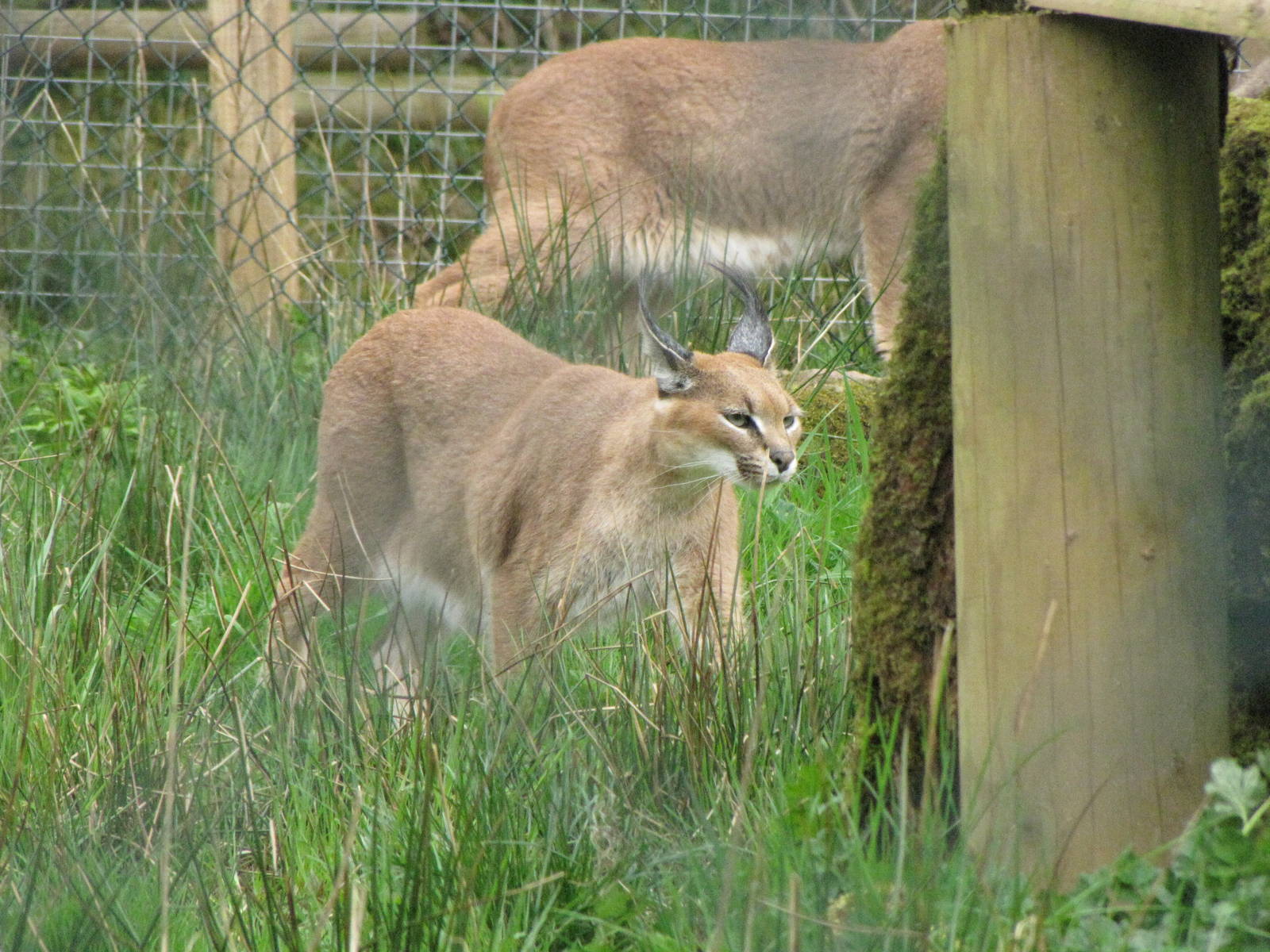 Galloway Wildlife Conservation Park