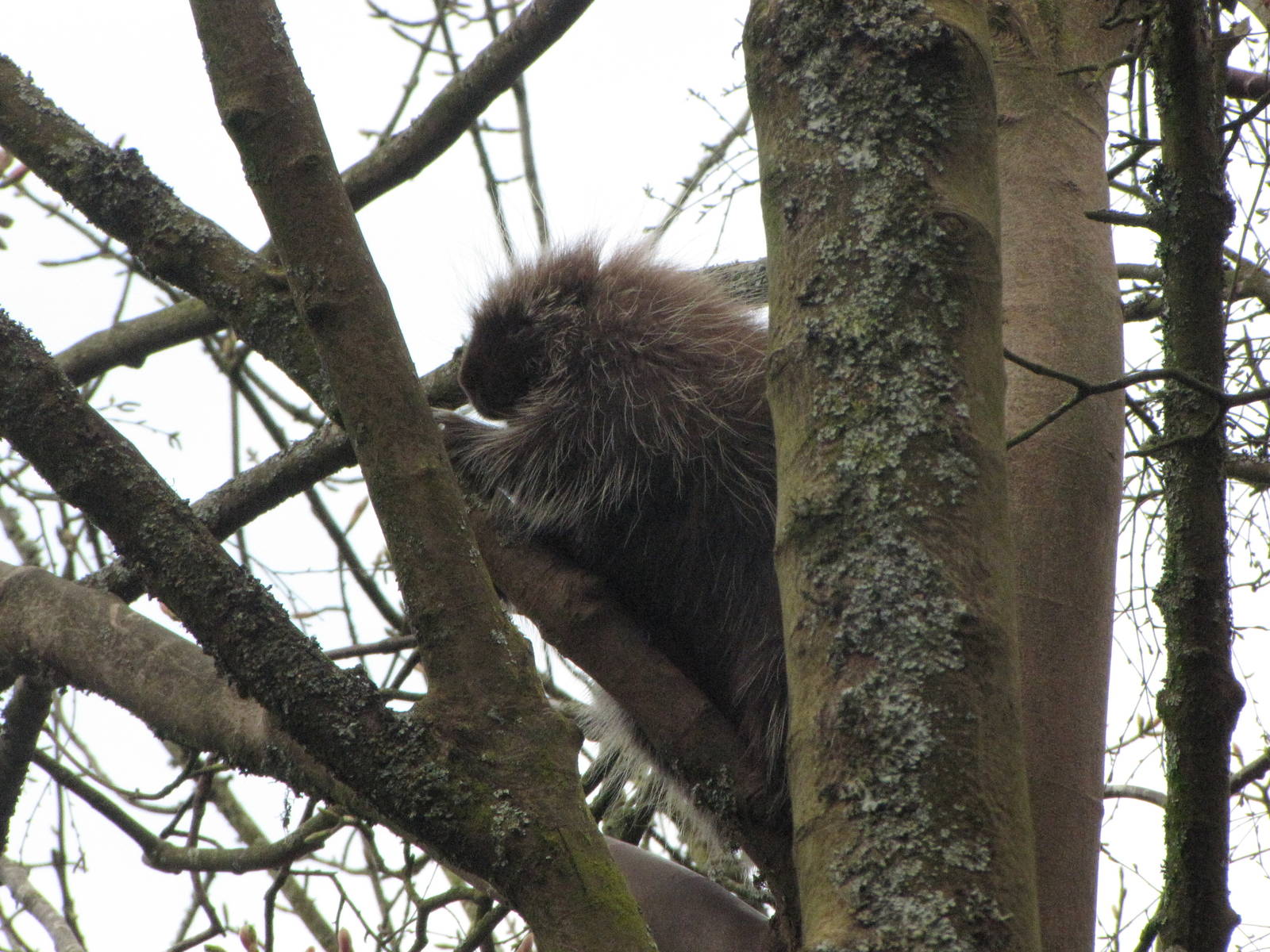 Galloway Wildlife Conservation Park