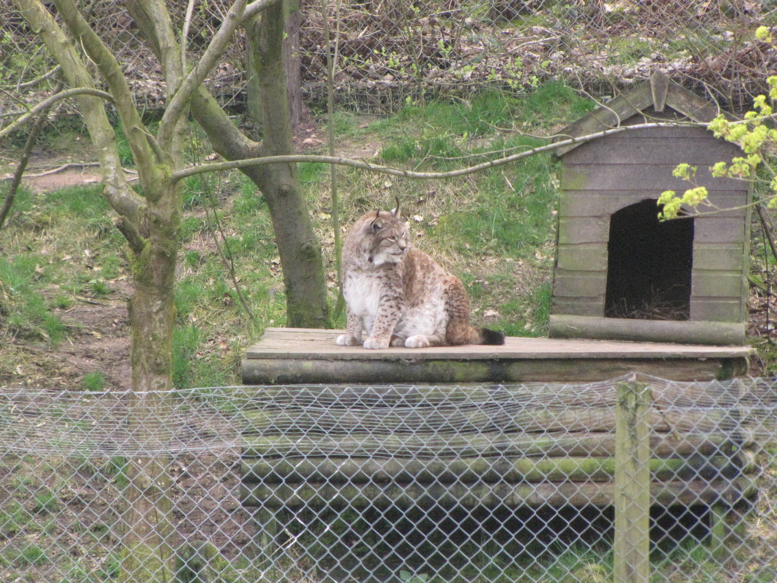 Galloway Wildlife Conservation Park