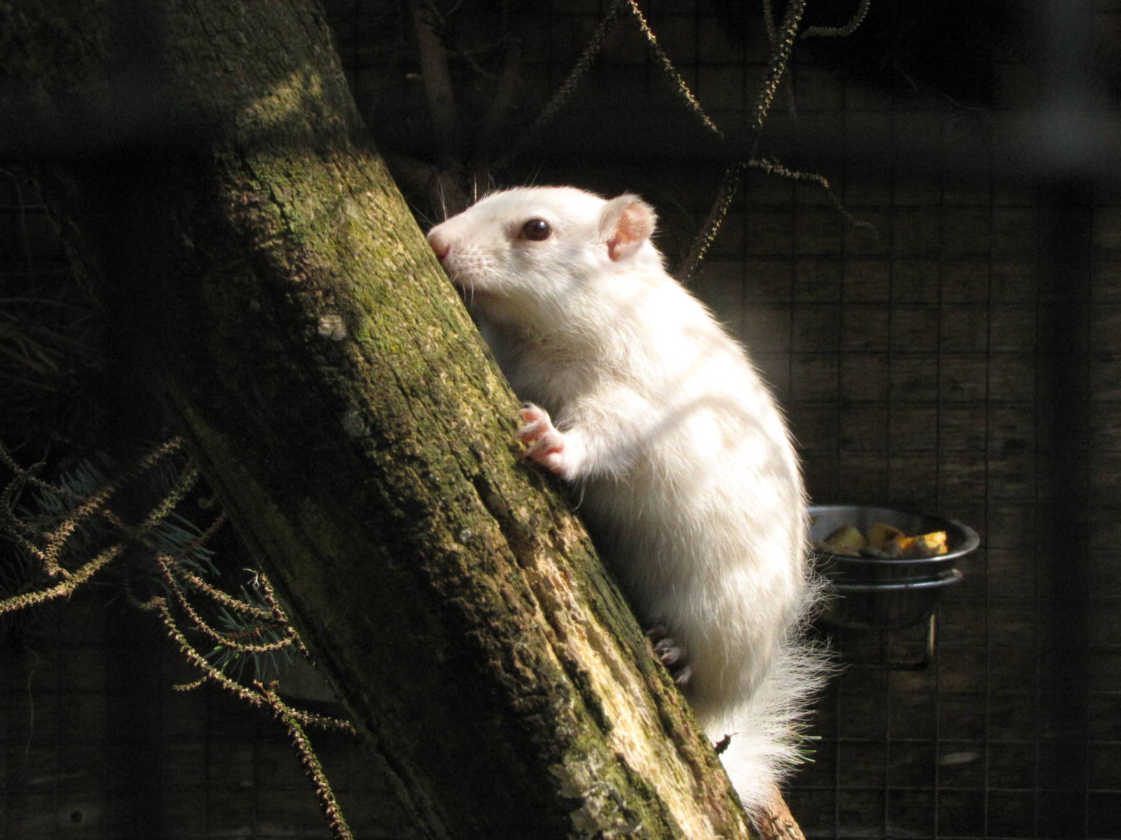 Galloway Wildlife Conservation Park