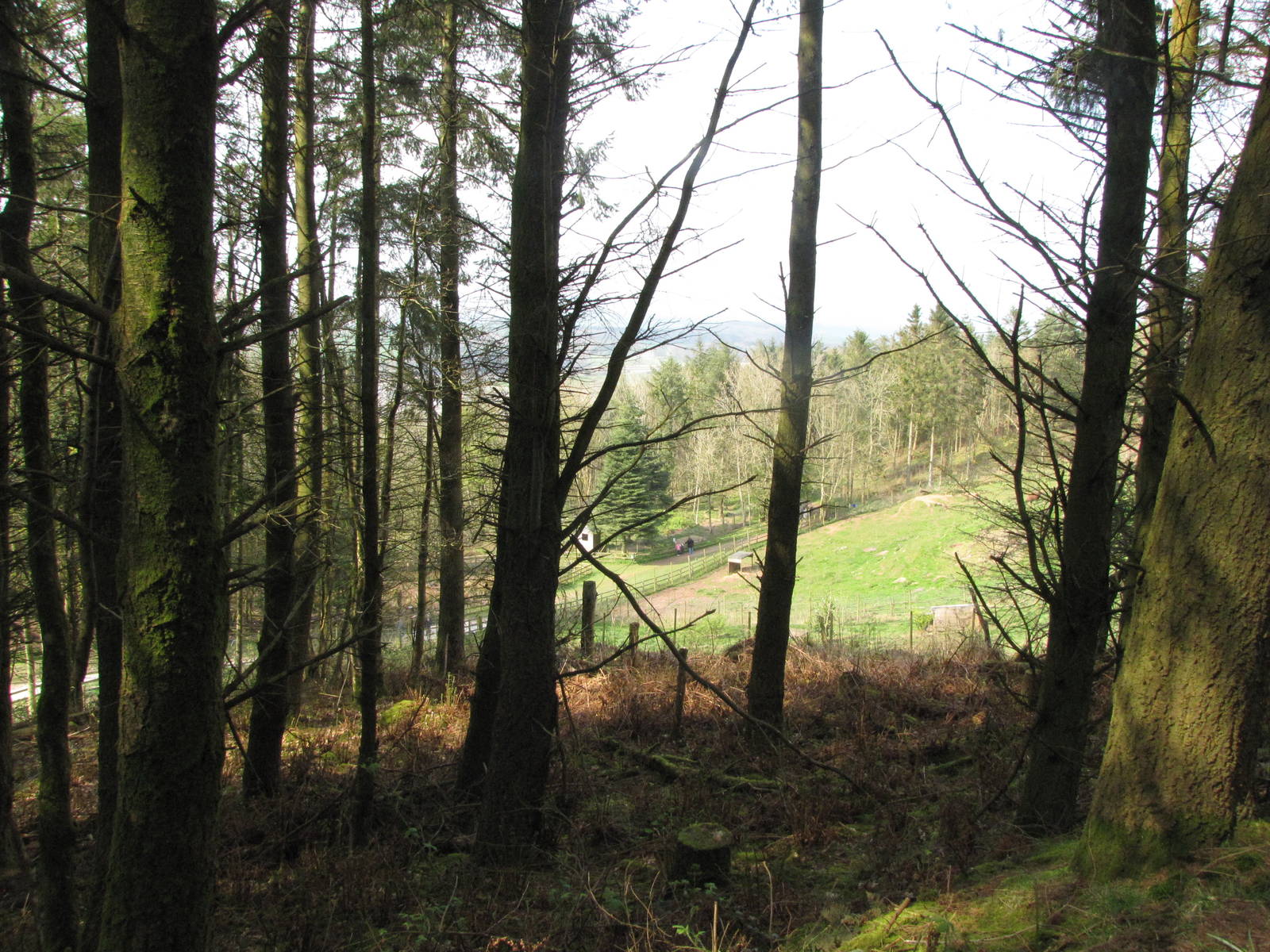 Galloway Wildlife Conservation Park