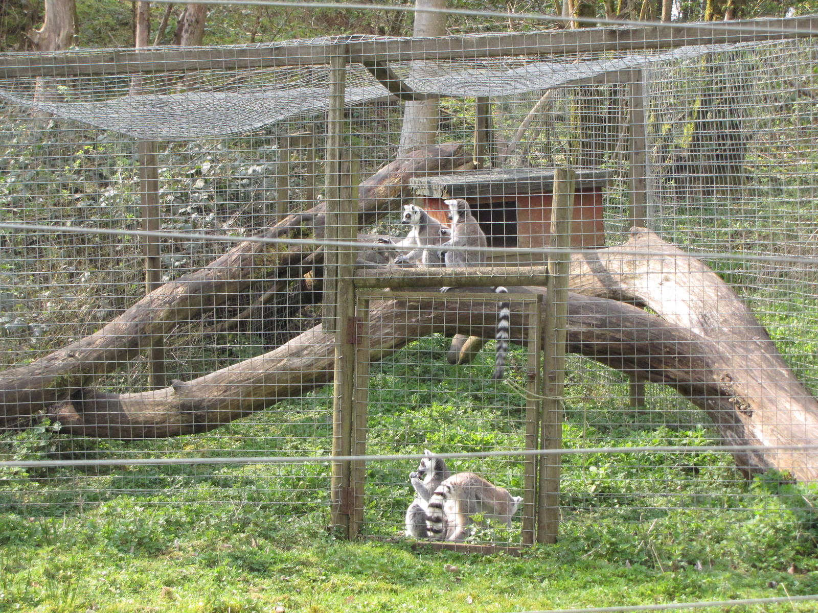 Galloway Wildlife Conservation Park