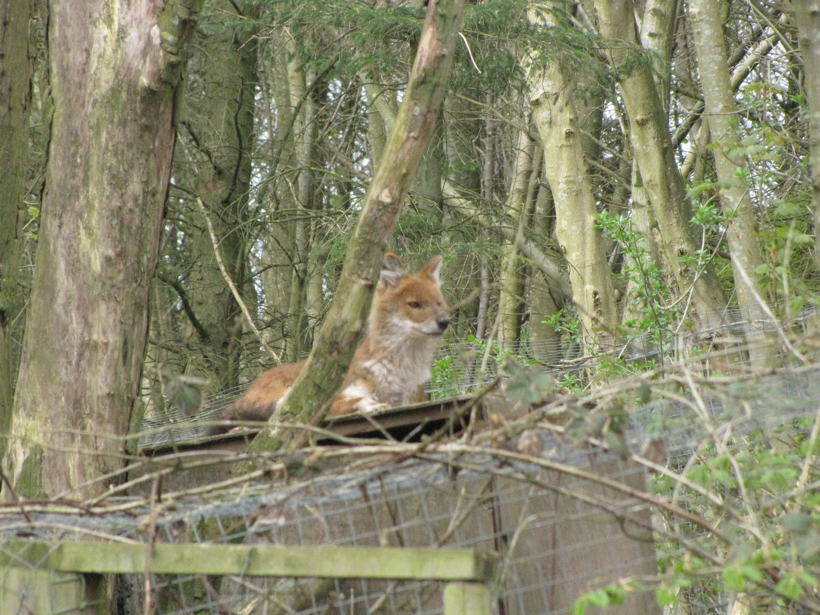 Galloway Wildlife Conservation Park