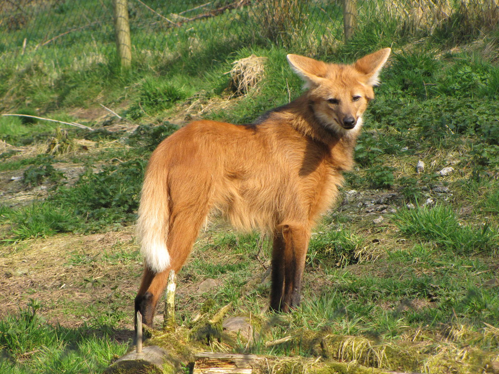 Galloway Wildlife Conservation Park