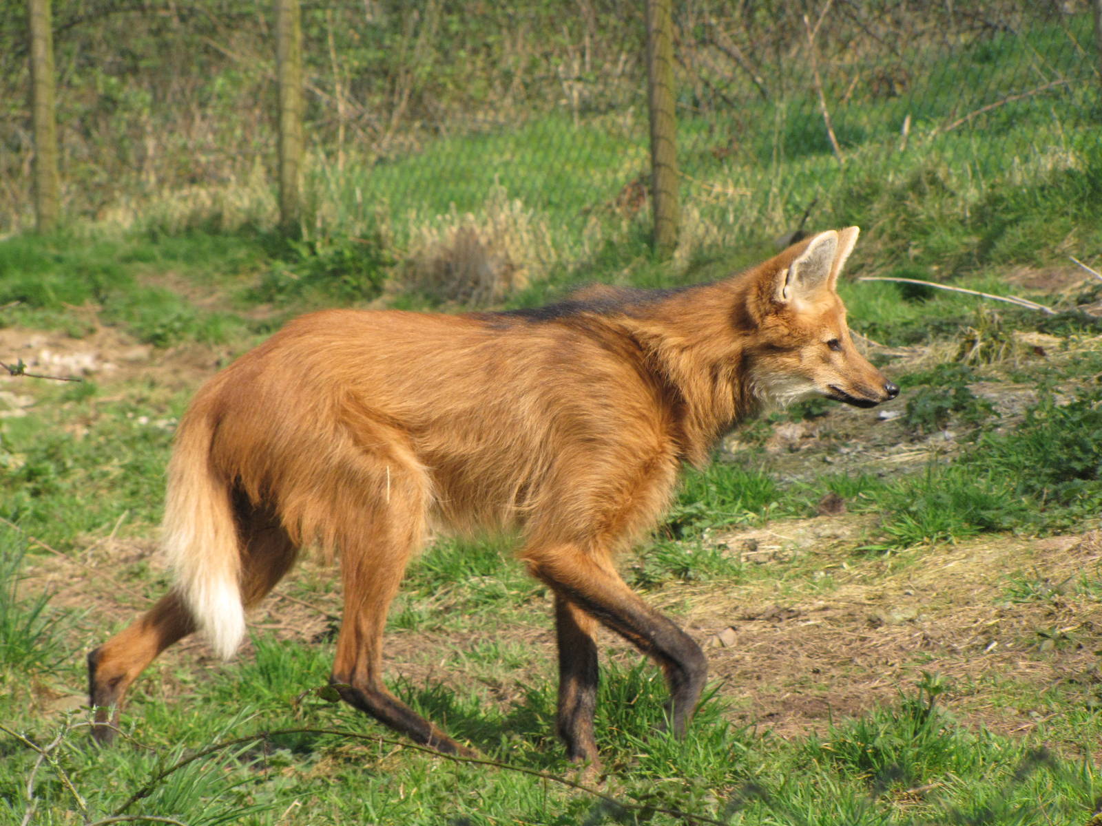 Galloway Wildlife Conservation Park