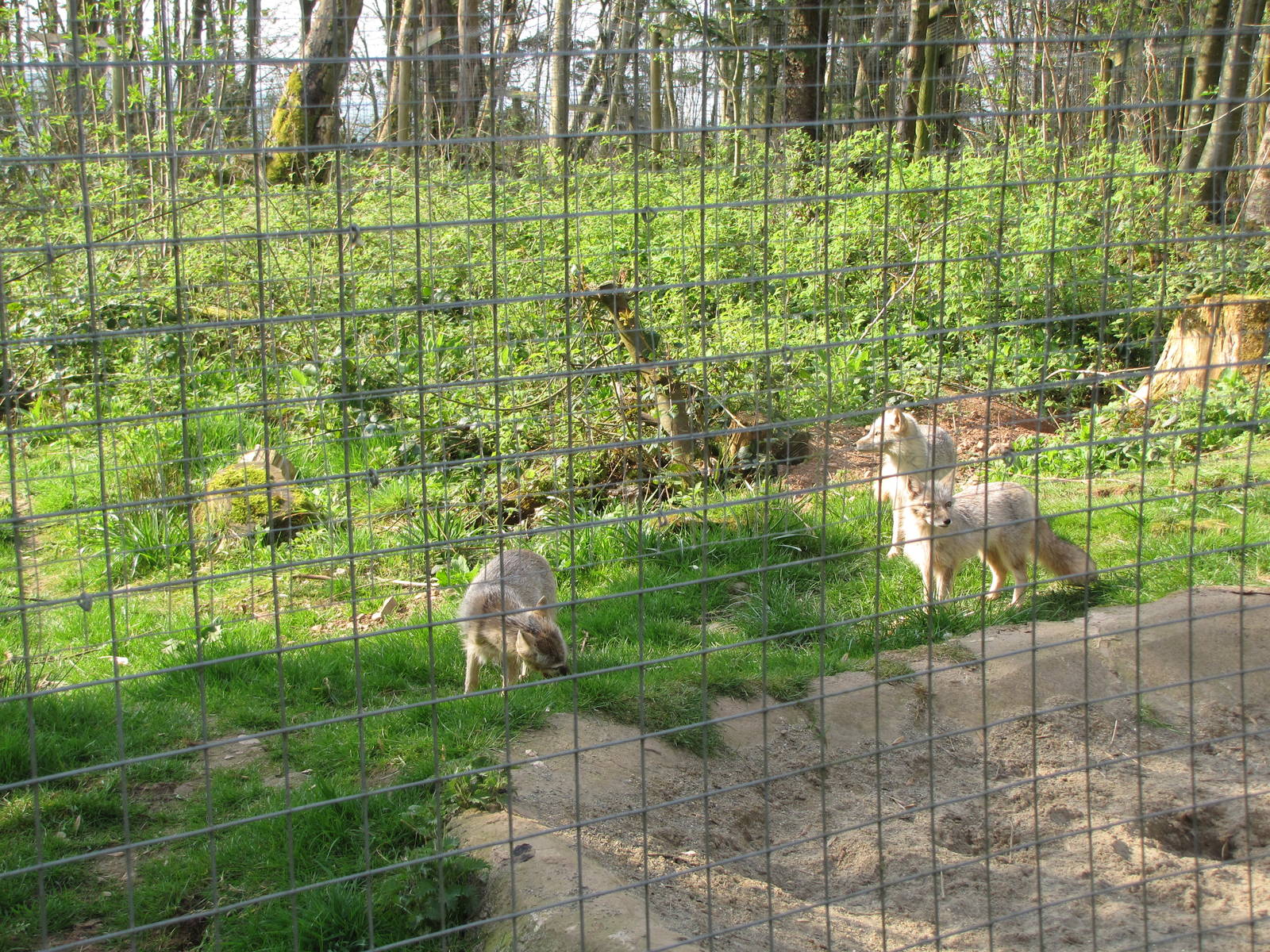 Galloway Wildlife Conservation Park
