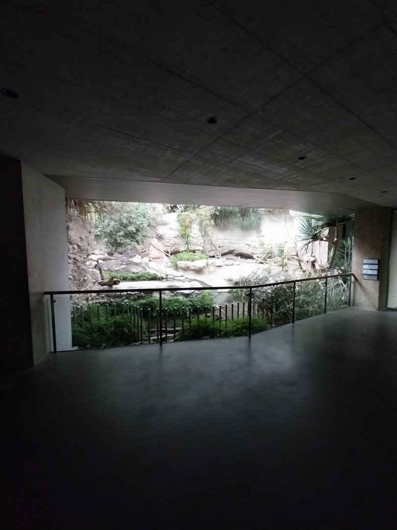 Gamgaos house - African river landscape exhibit