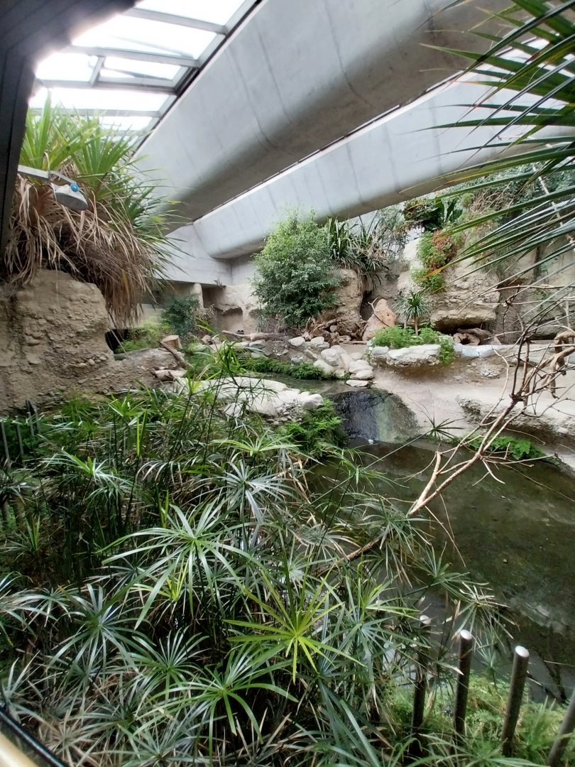 Gamgaos house - African river landscape exhibit