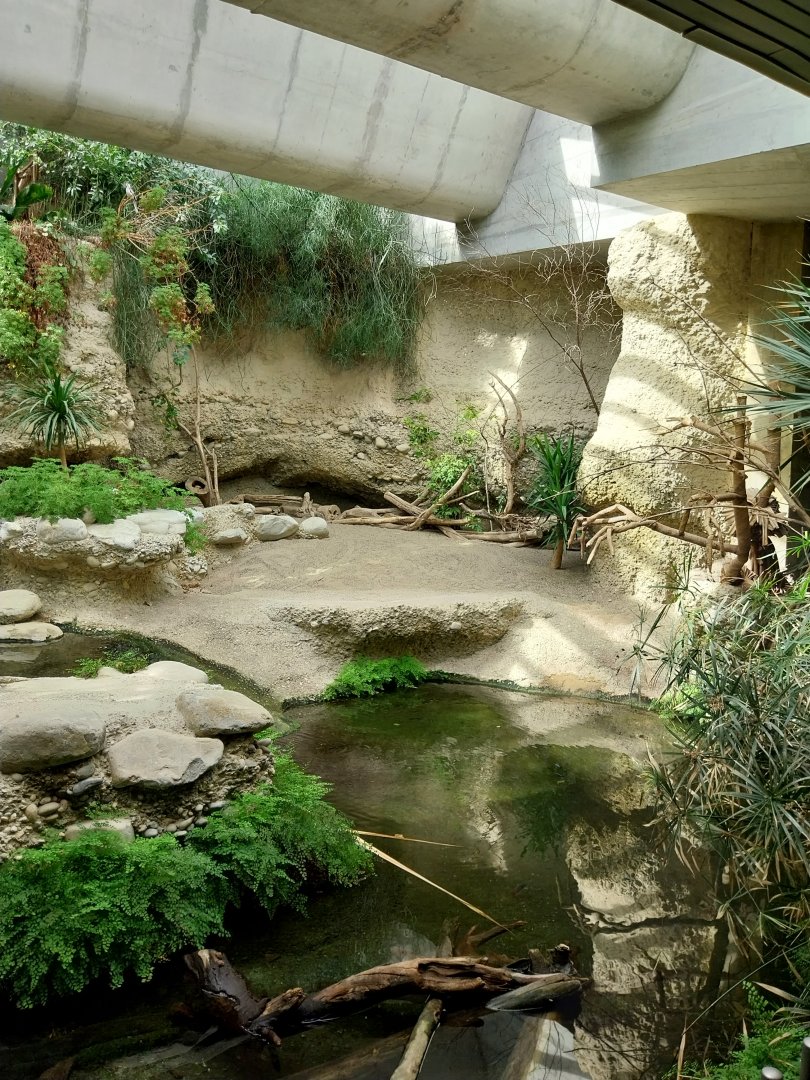 Gamgaos house - African river landscape exhibit