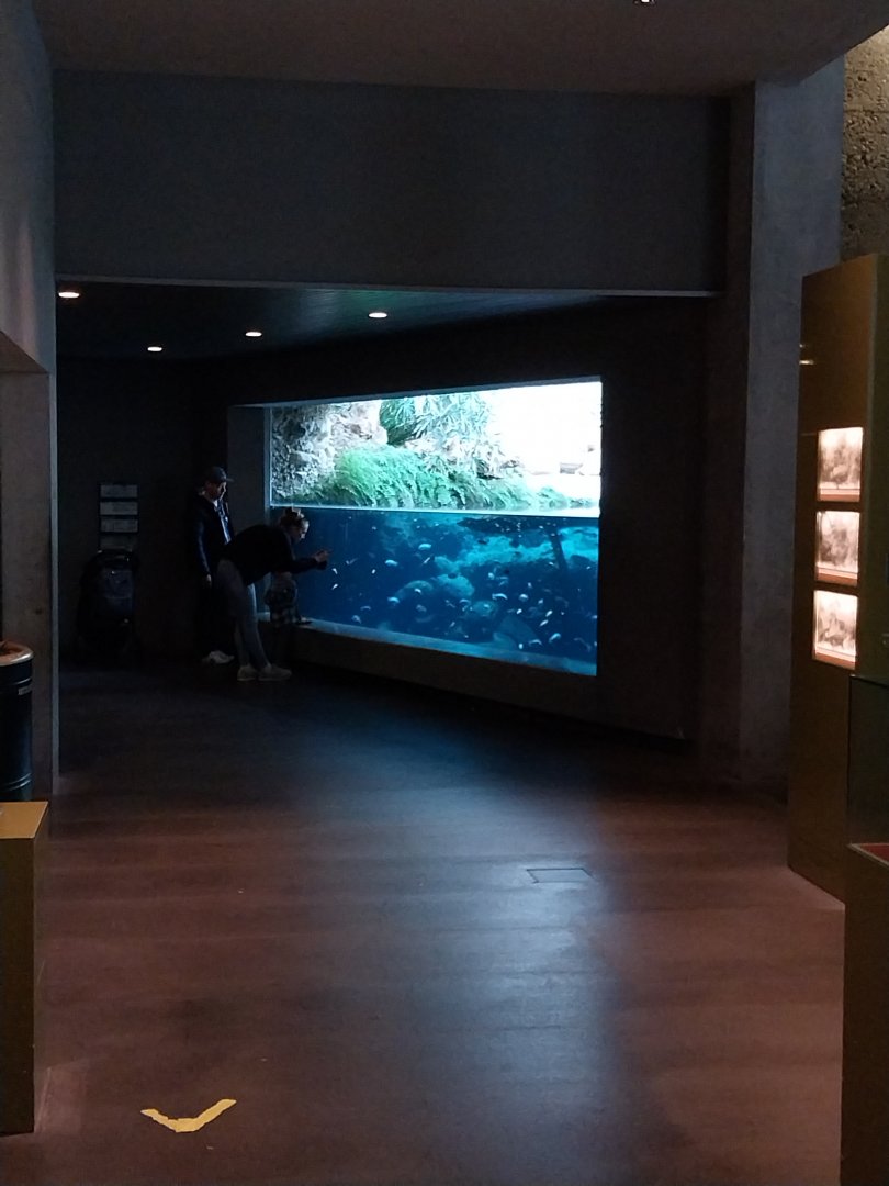 Gamgaos house - African river landscape exhibit